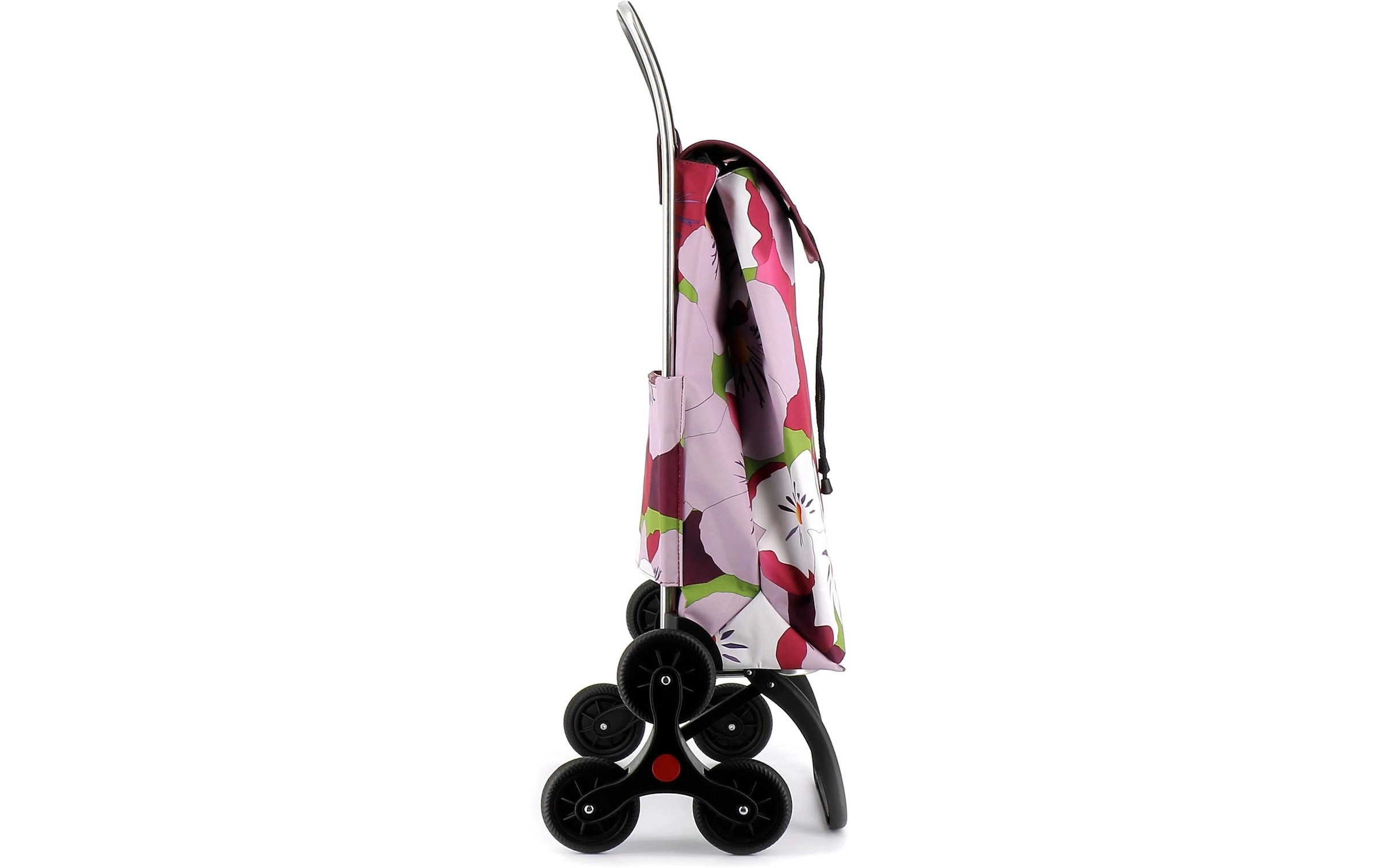 Rolser Einkaufstrolley »IMAX TAKU 6 BASSI«
