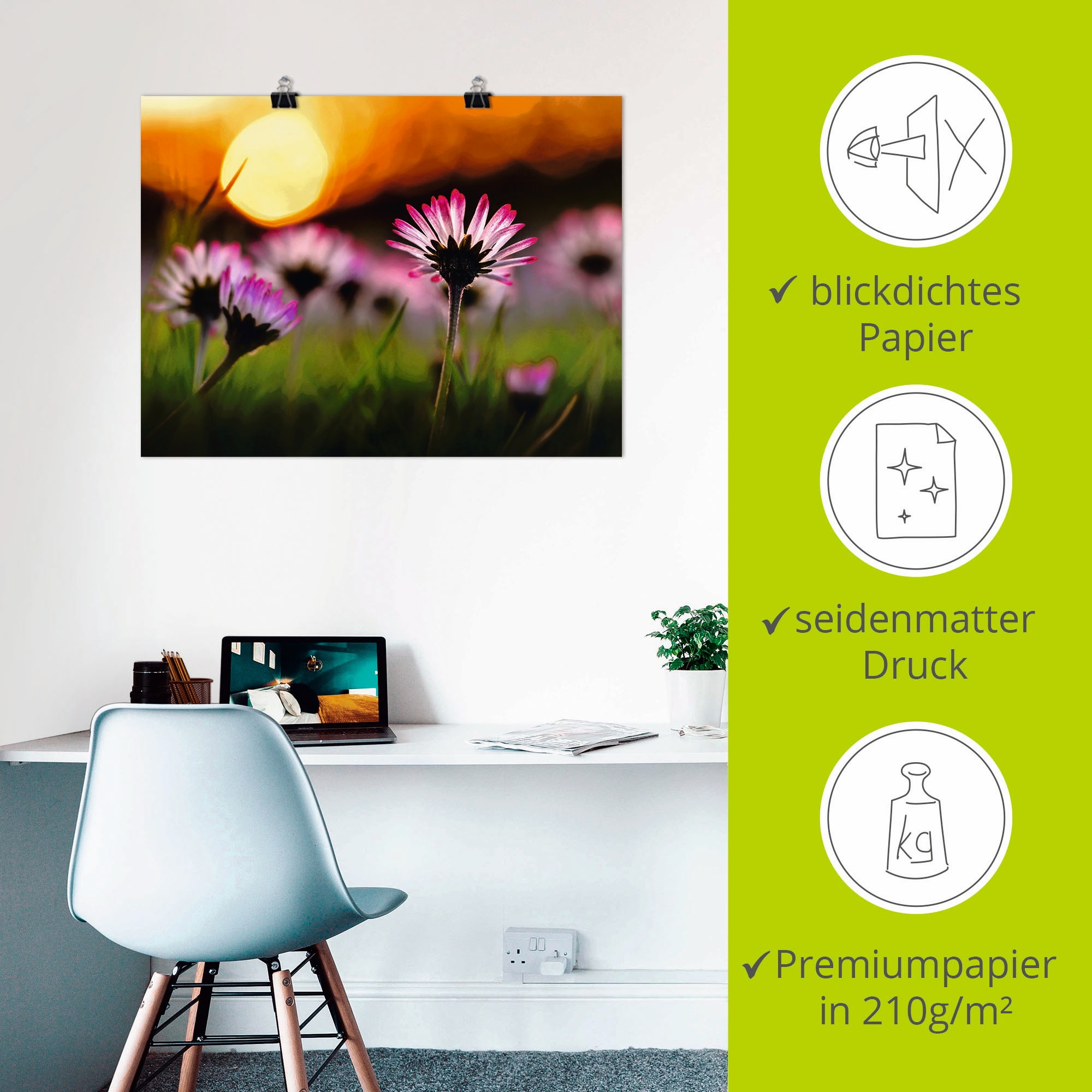 Artland Poster »Gänseblümchen im Sonnenuntergang« 1 cuis tlg. als Alubild, Leinwandbild, Wandaufkleber oder Poster in versch. Grössen