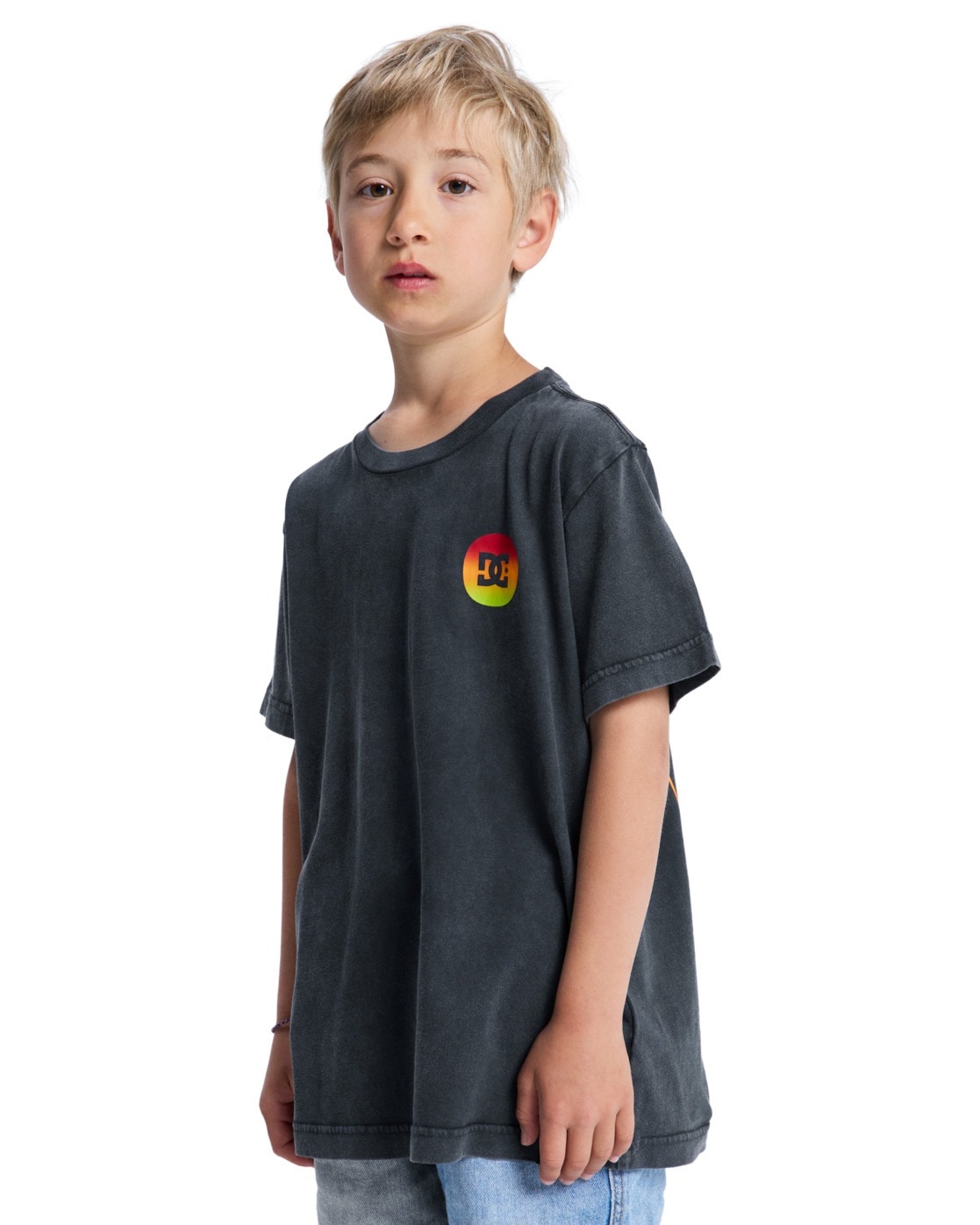 DC Shoes T-Shirt »Shape Or Destroy«