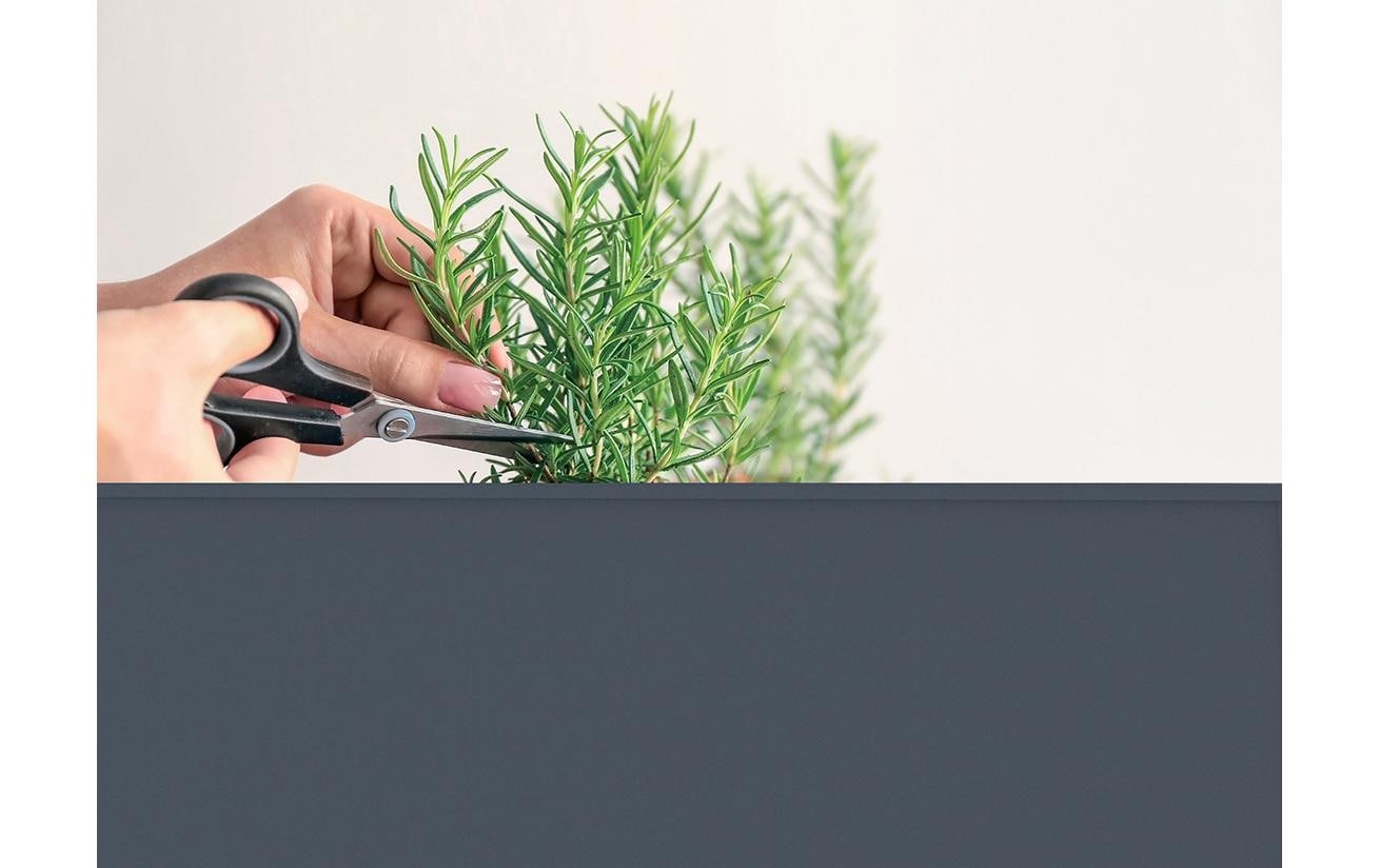 Herstera Garden Lit surélevé »Urban« BxTxH: 75x35x80 cm