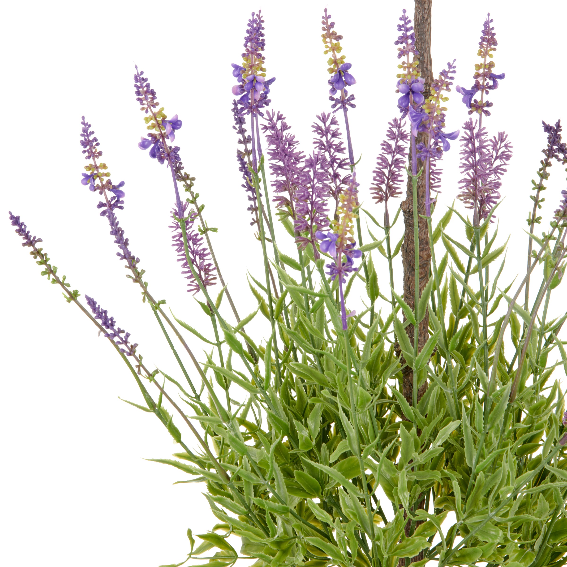 Creativ green Kunstpflanze »Lavendel« mit filigranen Lavendelbüten