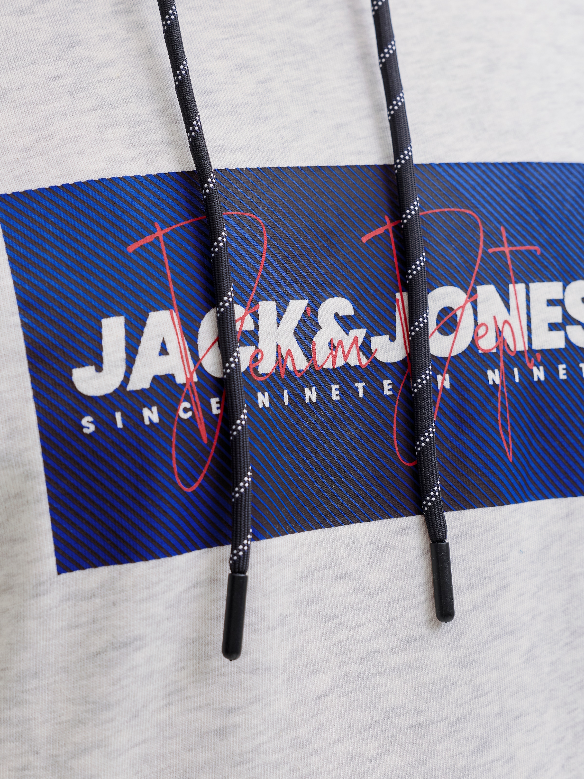 Jack & Jones Kapuzensweatshirt »JJCOLE PRINT SWEAT HOOD UNB«
