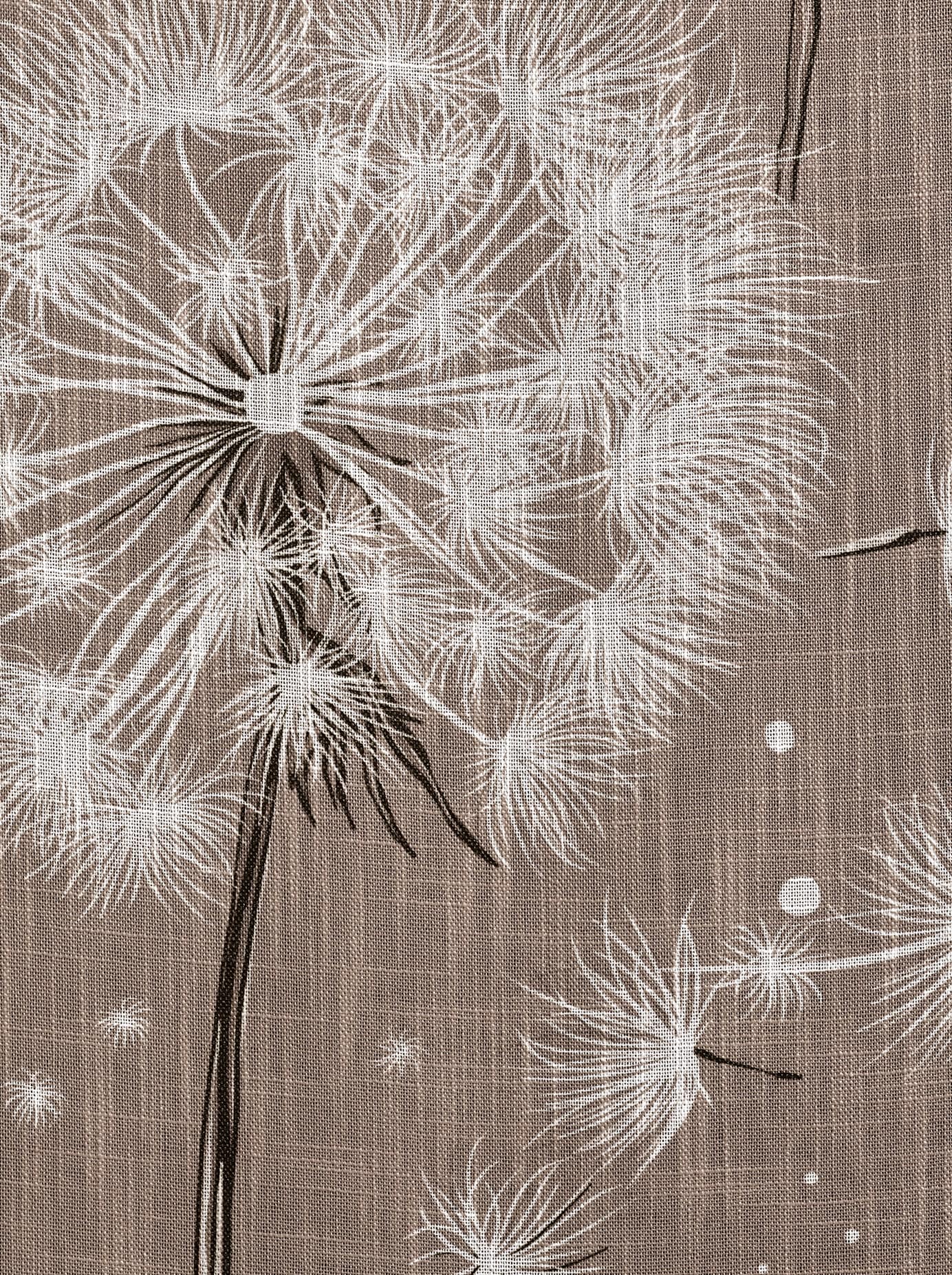 heine home Rideau coulissant Velcro 1 cuis tlg.