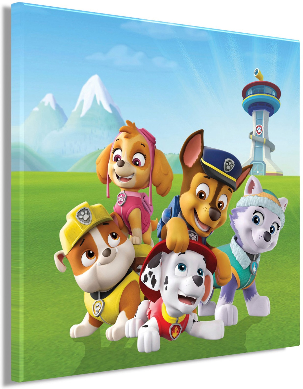 Bönninghoff Tableau sur toile »Wandbild PAW PATROL 35x35 cm – Leinwandbild Keilrahmen Deko modern« Personnages de films 1 cuis tlg. tendu sur châssis