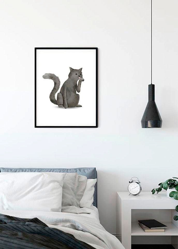 Komar Image »Cute Animal Cat« 1 cuis tlg. Wandbild zur Dekoration - ohne Rahmen