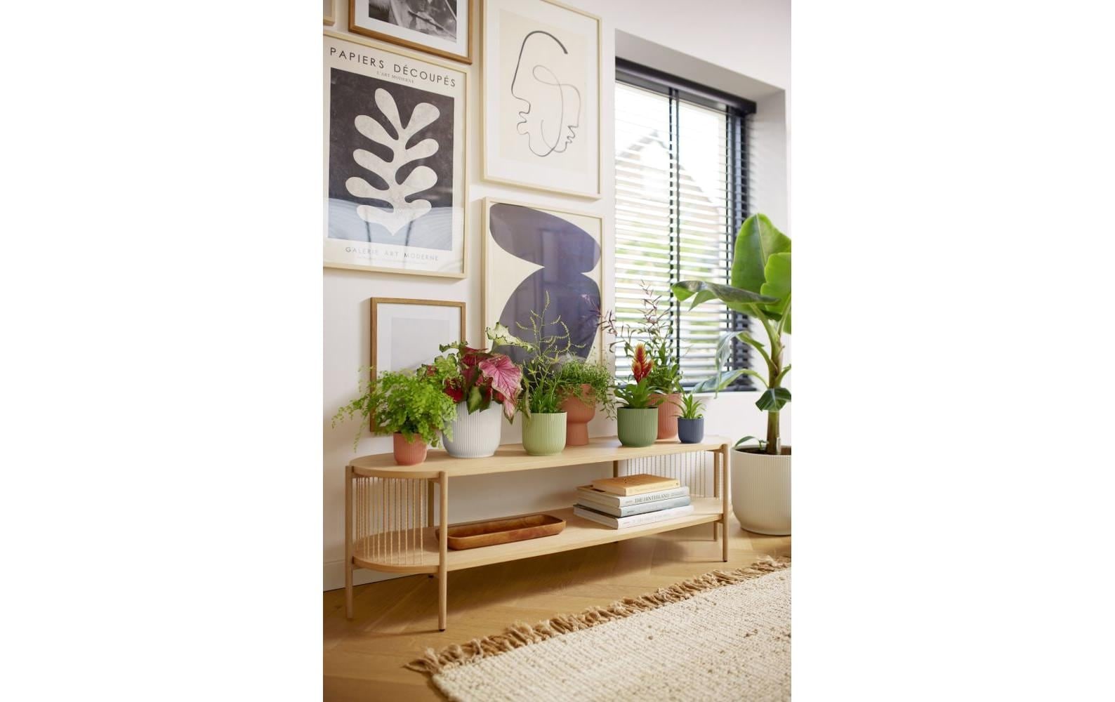 Elho Pot de fleurs »Vibes Fold Rund 30 cm«