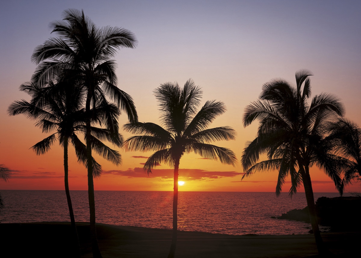 Komar Fototapete »Papier Fototapete - Hawaii - Grösse 368 x 254 cm« Motiv | bedruckt glatt