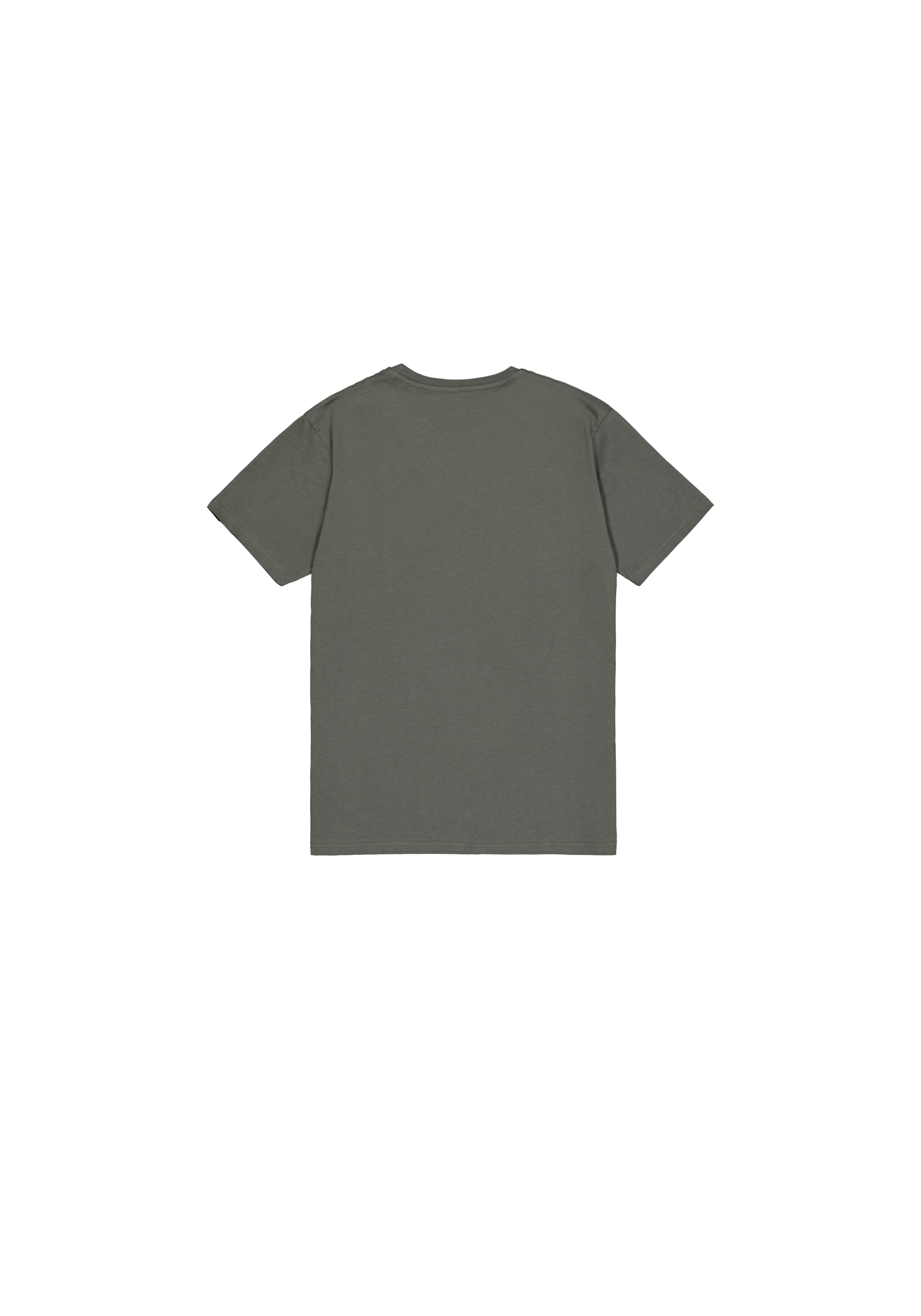 Alpha Industries T-Shirt »Gremlin T-Shirt«