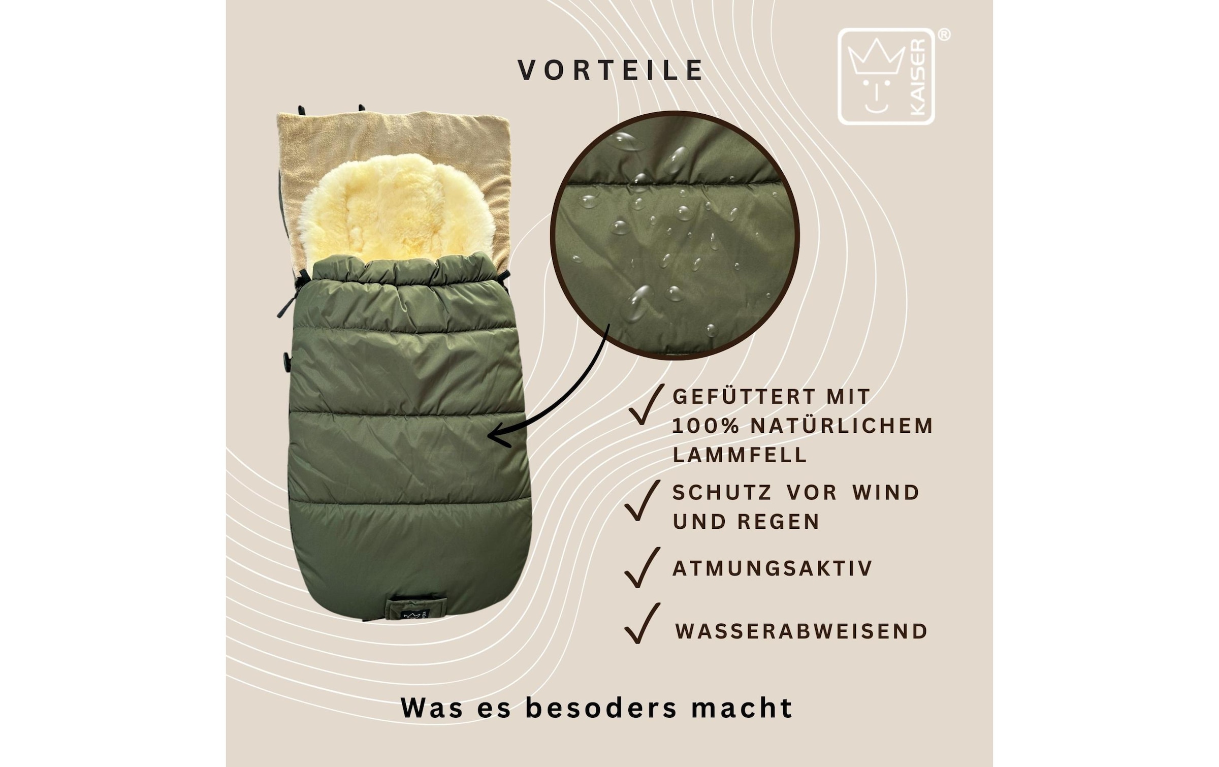 Kaiser Chancelière »Sheep«