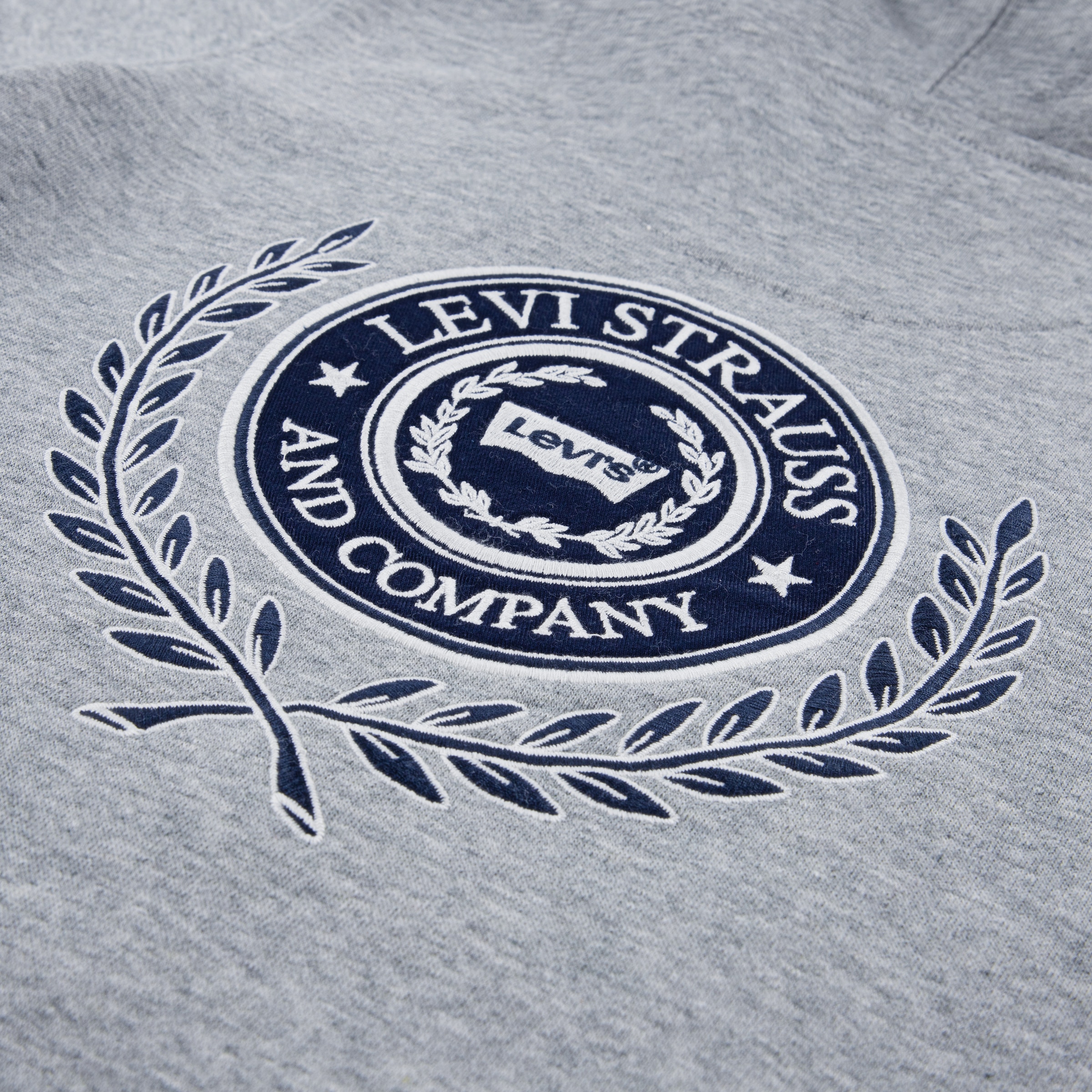 Levi's® Kids Sweat à capuche »LVB MODERN CREST HOODIE«, pour garçons
