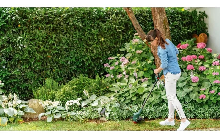 BOSCH Coupe-bordures sans fil »EasyGrassCut 18V 26« mit 2 Akkus 18V/2,0 Ah und Ladegerät