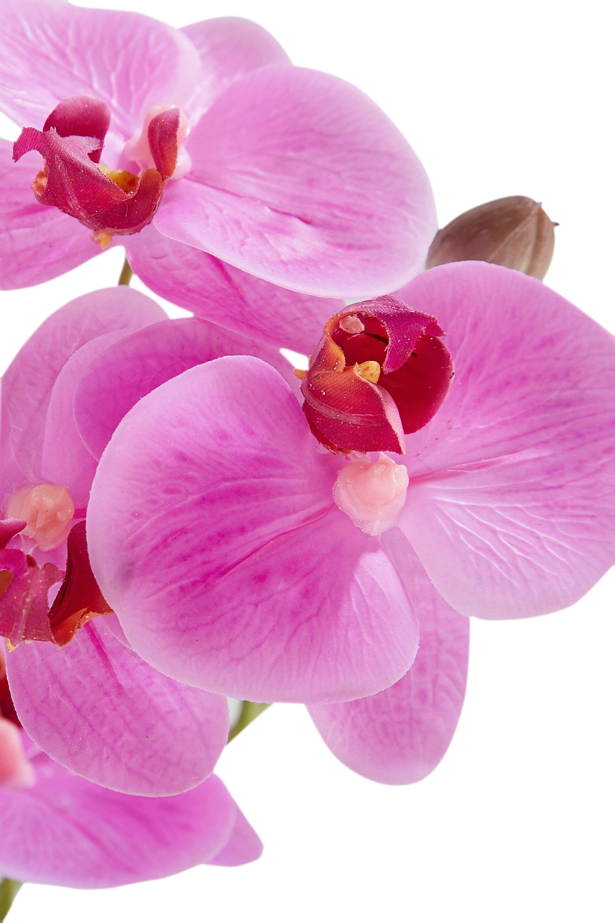 Leonique Plante artificielle »Orchidee« Kunstorchidee, im Topf, Bestseller, über 2500 4,5-Sterne-Bewertungen