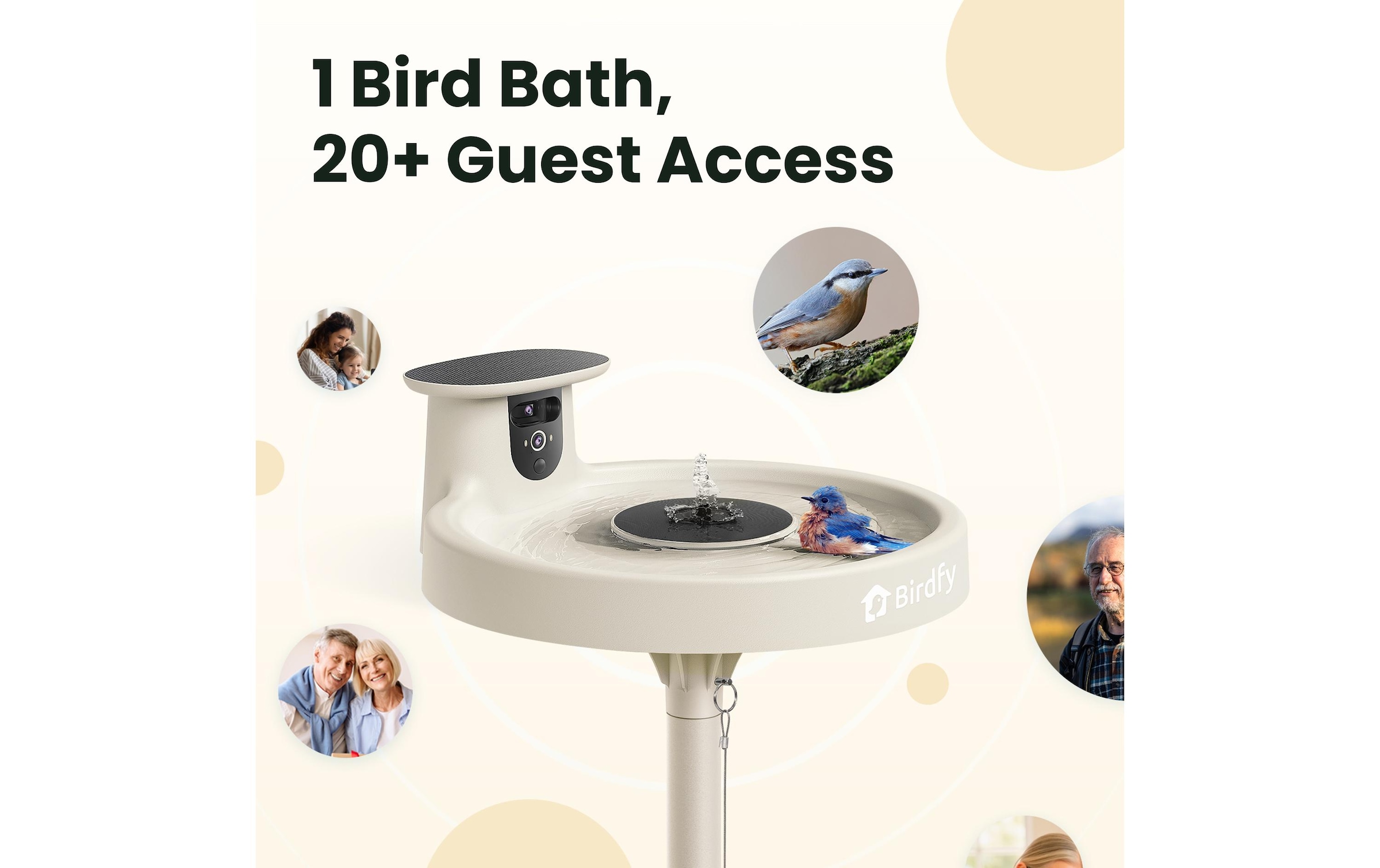 Birdfy Mangeoire pour oiseaux »Vogelbad mit Kamera« Solarbetrieben, KI und Video Vogelerkennung