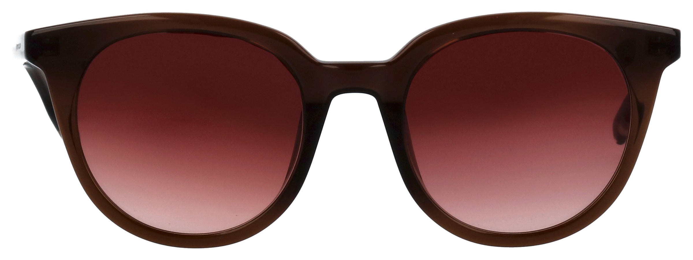 TOM TAILOR Lunettes de soleil »Modell 676005« Form Feminin, Logoschriftzug auf Bügel, Kunststofffassung