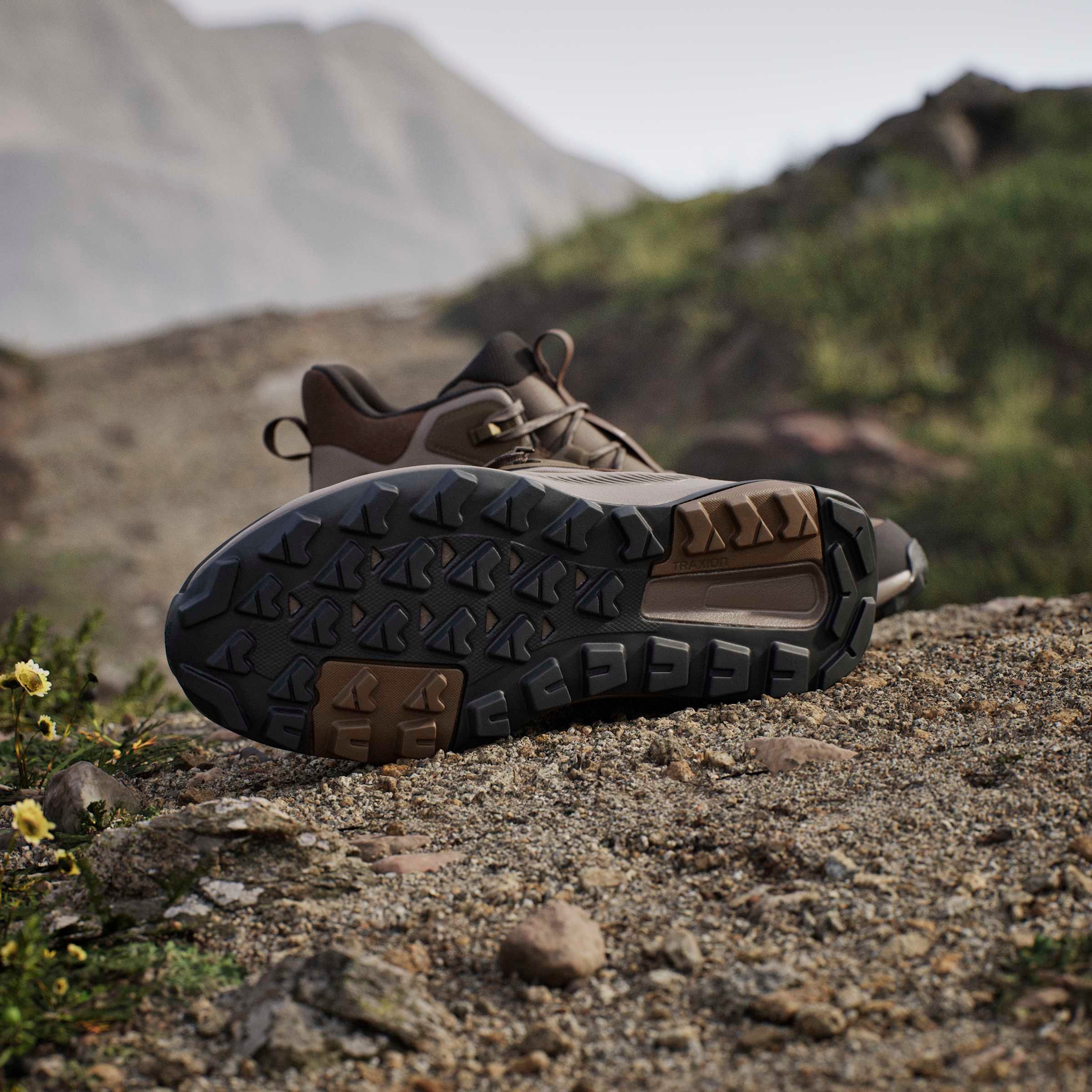 adidas TERREX Chaussure de randonnée »ANYLANDER MID , LEDER«  en cuir