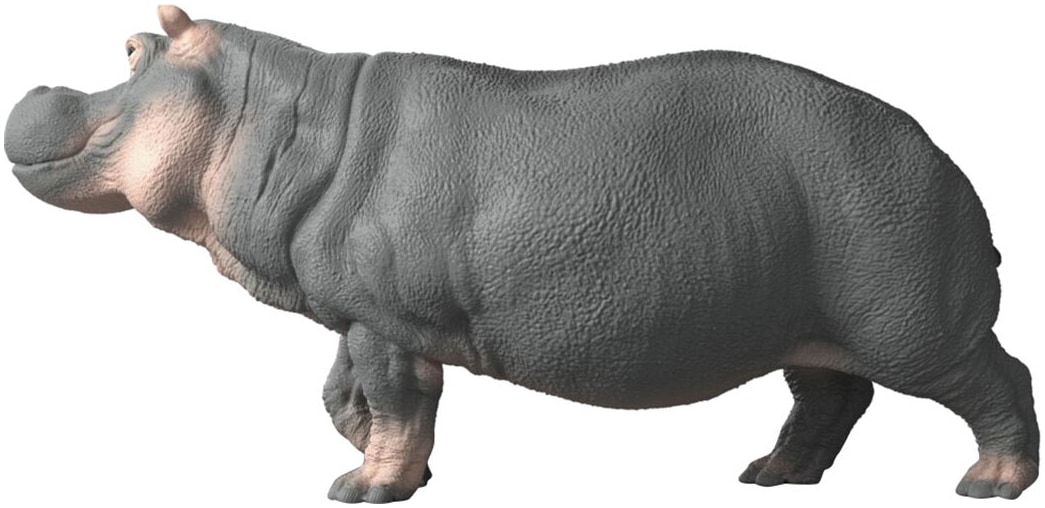 Schleich® Personnage de jeu »WILD LIFE, Flusspferd (14938)«