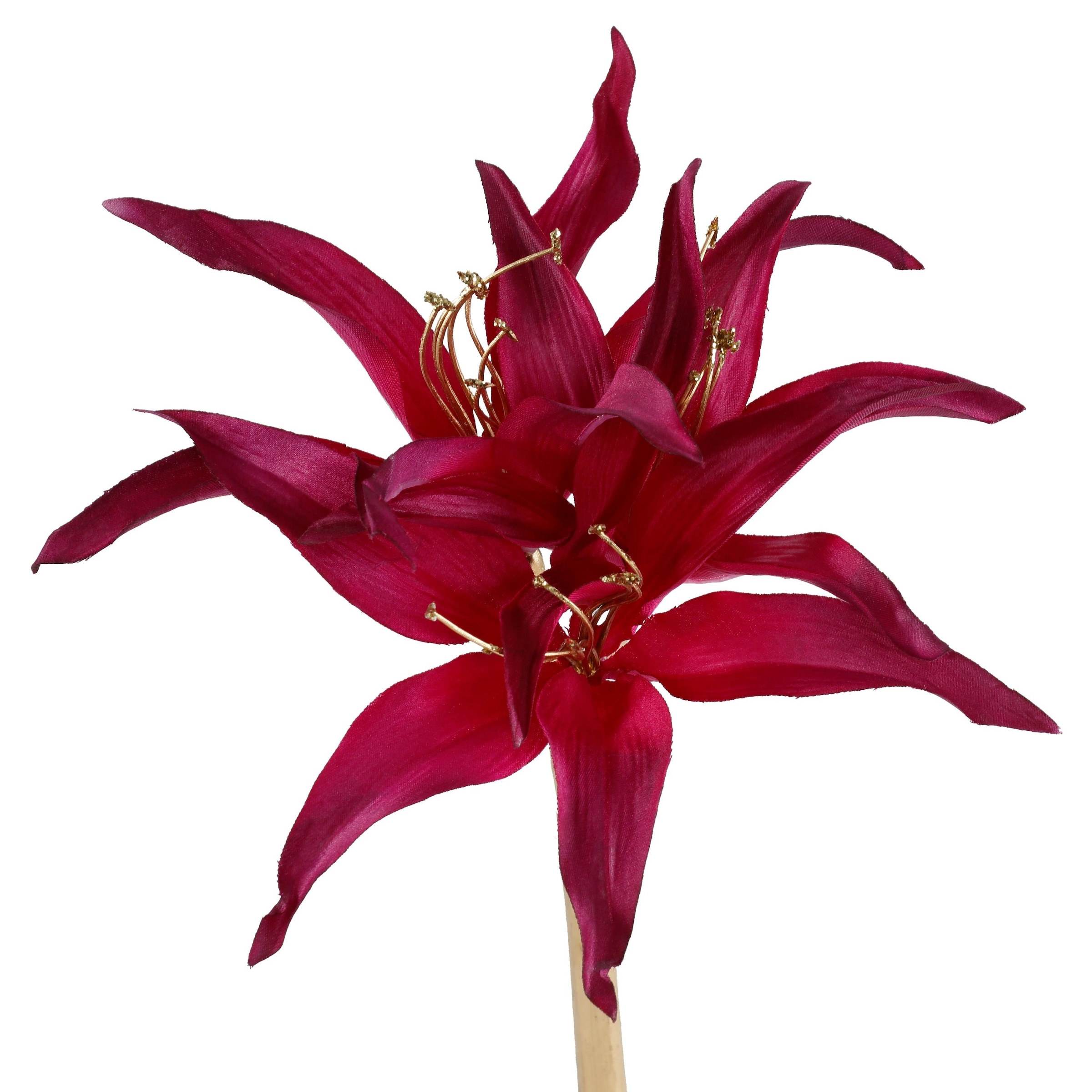 Creativ deco Winterliche Kunstpflanze »Weihnachtsdeko« mit goldfarbenen Stengeln