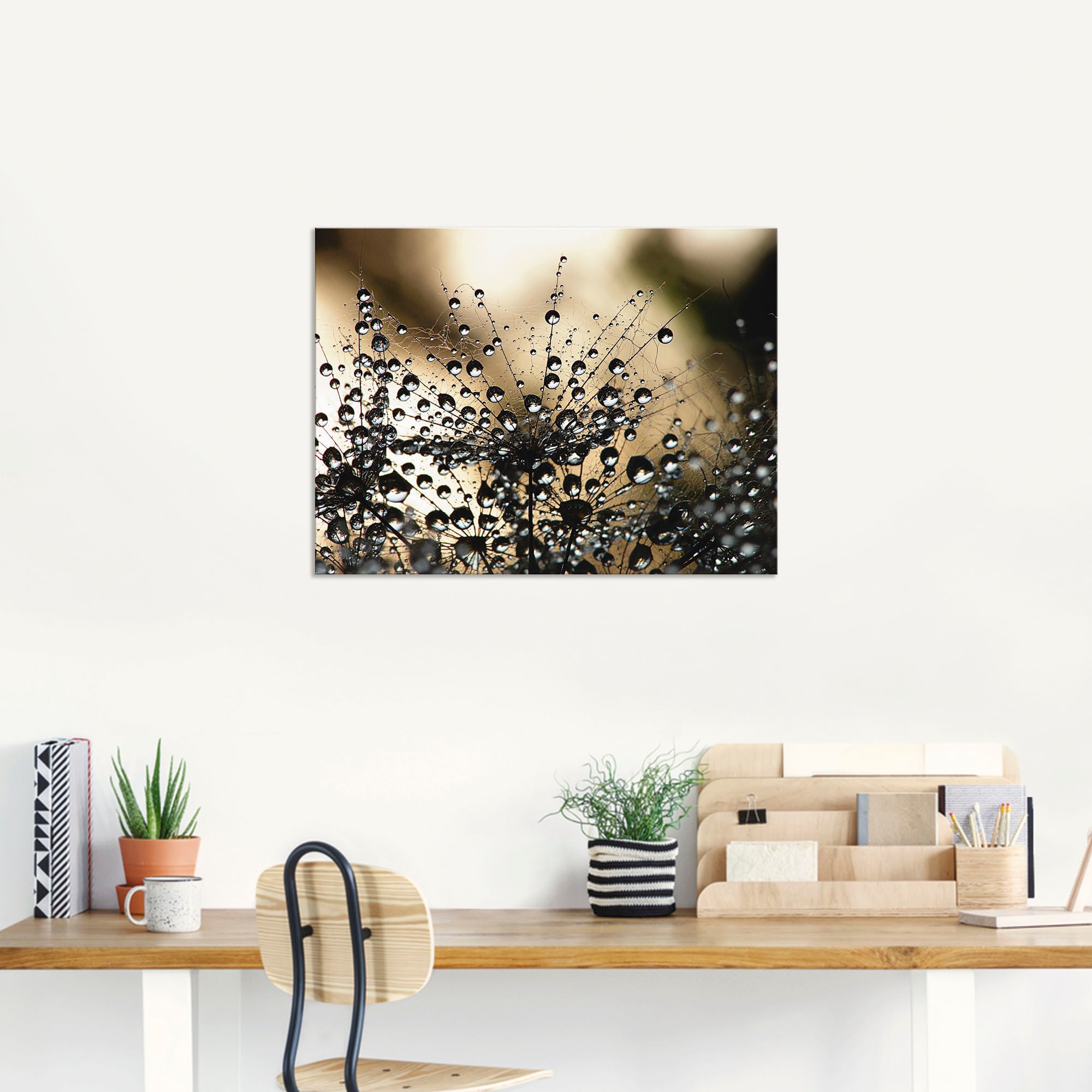 Artland Wandbild »Nasser Löwenzahn« Blumen 1 Stk. tlg. als Alubild, Leinwandbild in verschied. Grössen