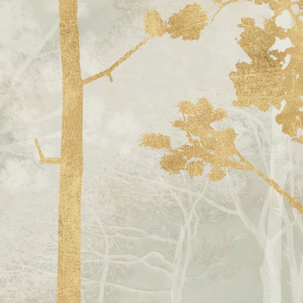 Komar Papier peint photo »Vlies Fototapete - Golden Pines - Grösse 400 x 250 cm« Motif | imprimé