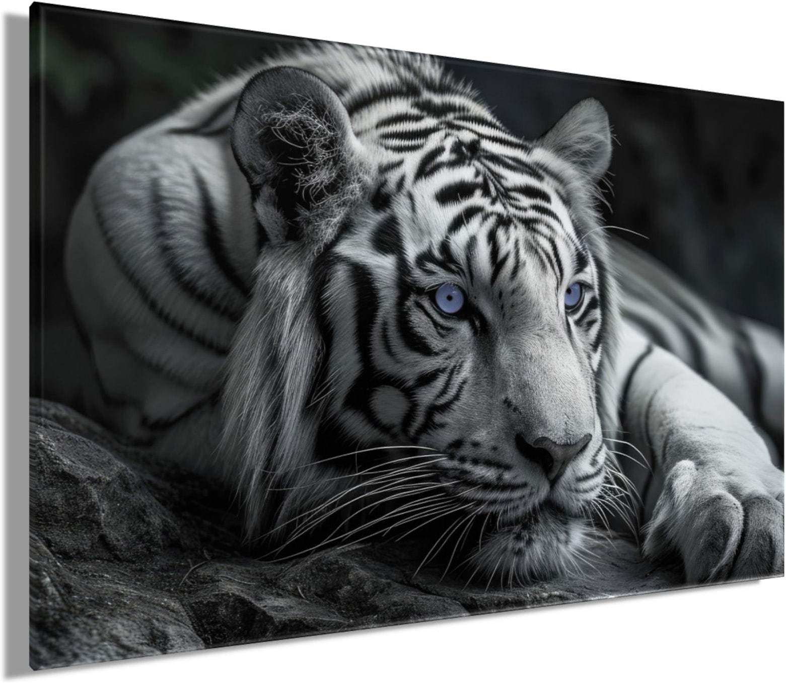 Bönninghoff Image »Wandbild TIGER 78x118 cm – Leinwandbild Keilrahmen Deko modern« Animaux sauvages | Félins | Tigre tendu sur châssis