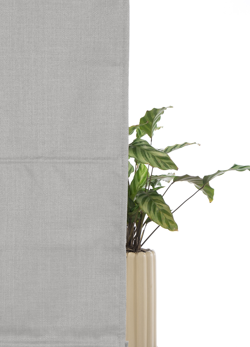 my home Rollo »RIOLA« verdunkelnd Blendschutz | Sichtschutz | Verdunkelung ohne Bohren freihängend Faltrollo in trendiger Leinenoptik NEUHEIT!