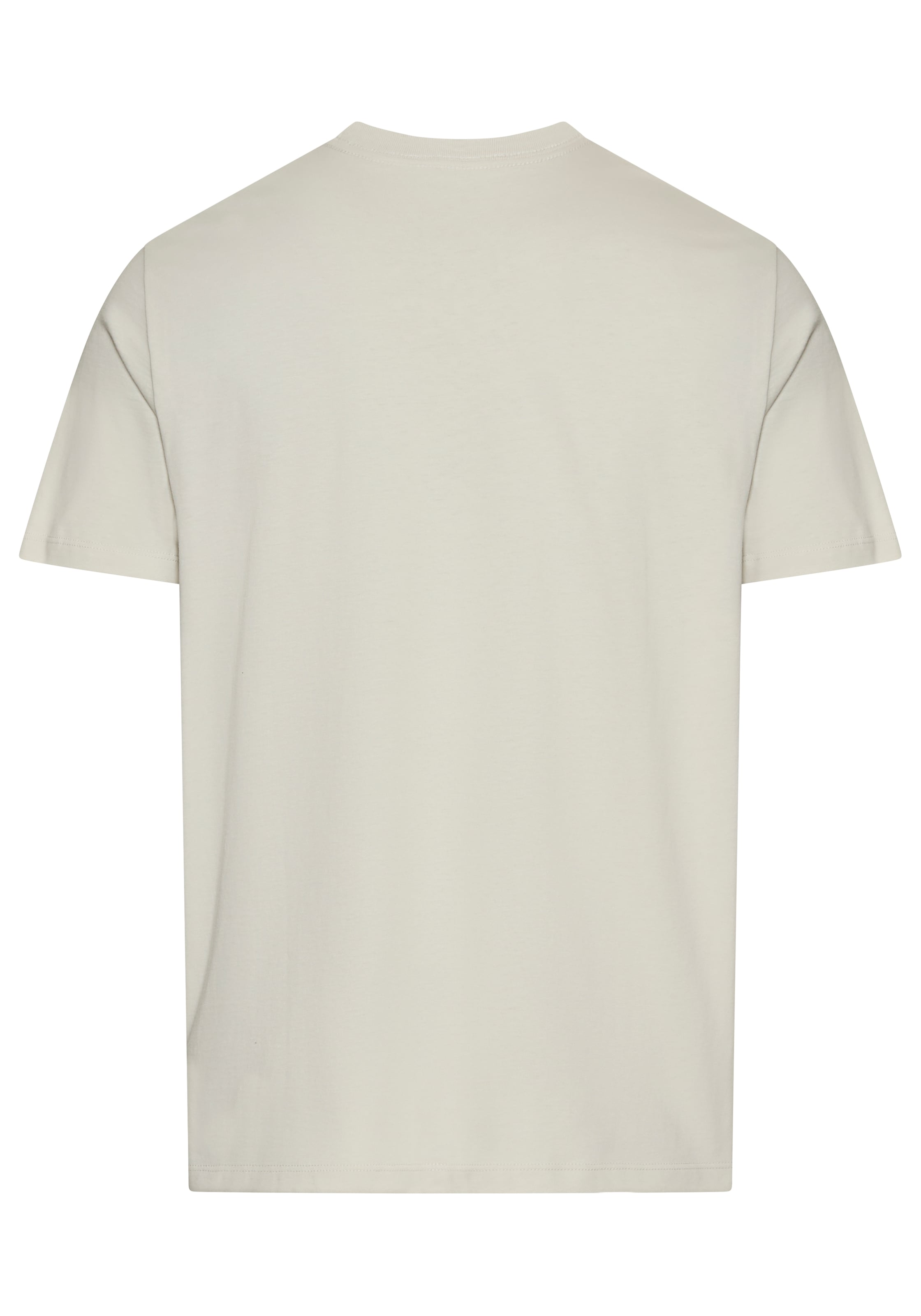 Calvin Klein Jeans T-Shirt »SS 30s E CLVN LN BG« mit Logo-Schriftzug