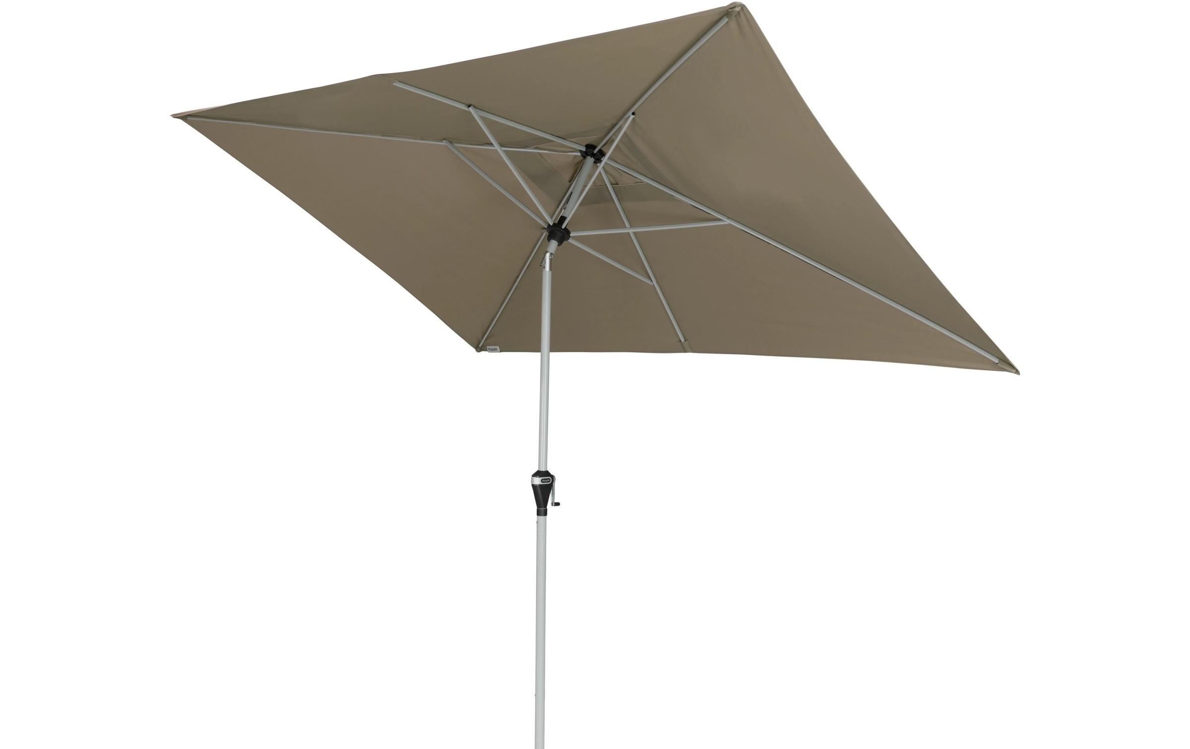   Parasol
