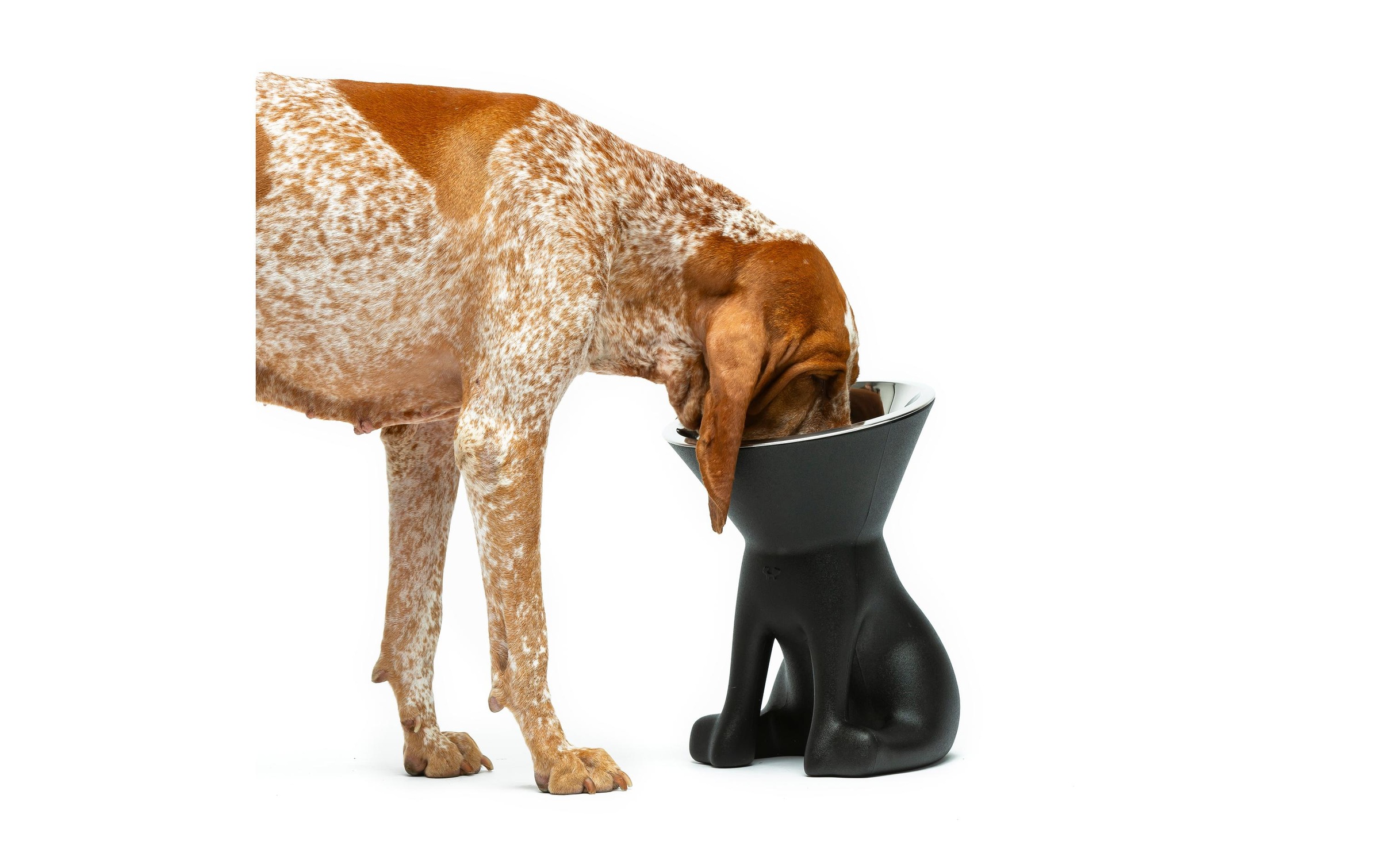   Mangeoire »United Pets Hundenapf Elisabeth« Pflegeleichter Futternapf mit rutschfester Basis