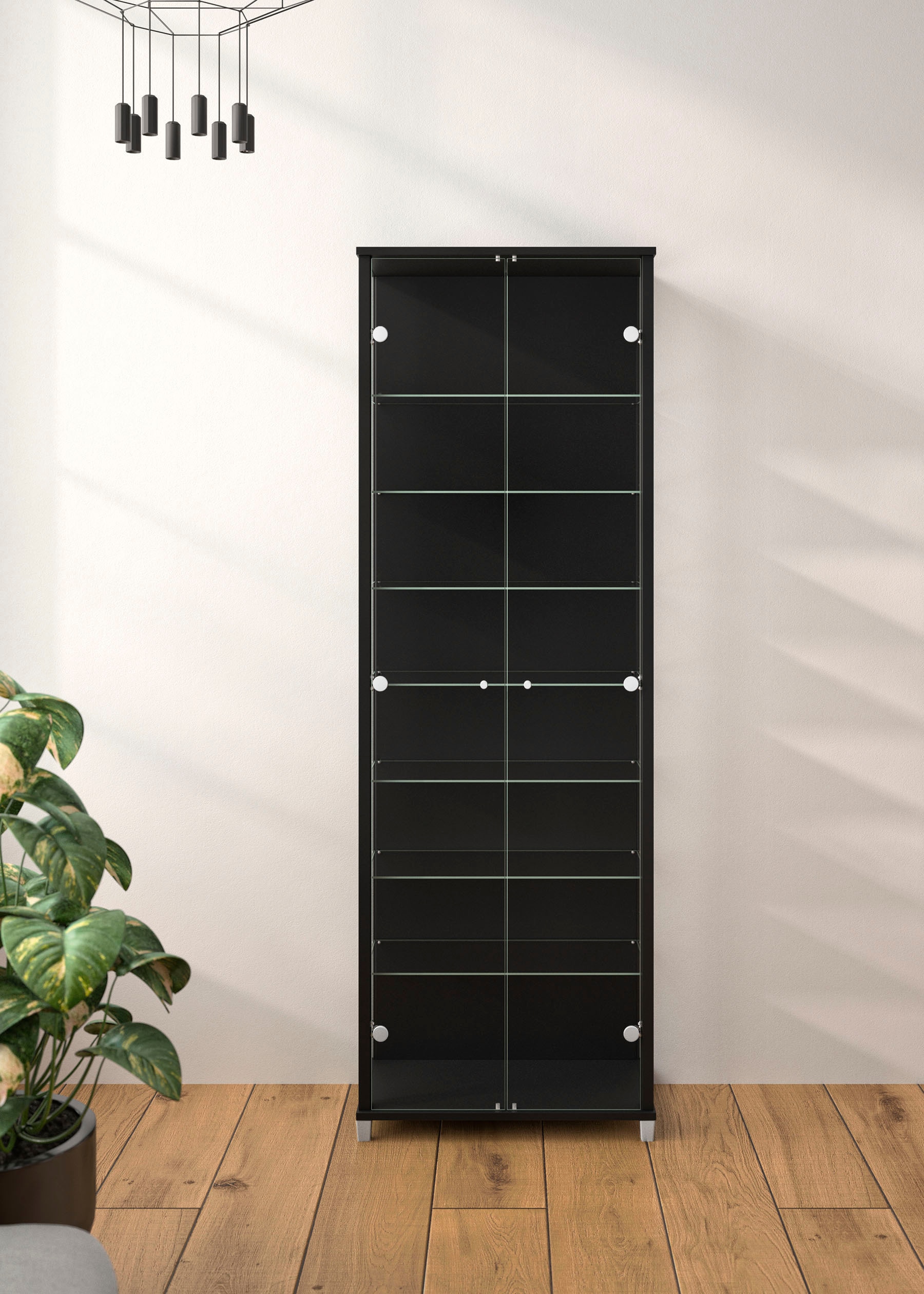 fif möbel Vitrines »Optima« Standvitrine, 2 Glastüren, 7 Böden, vielseitig, perfekt für Sammler