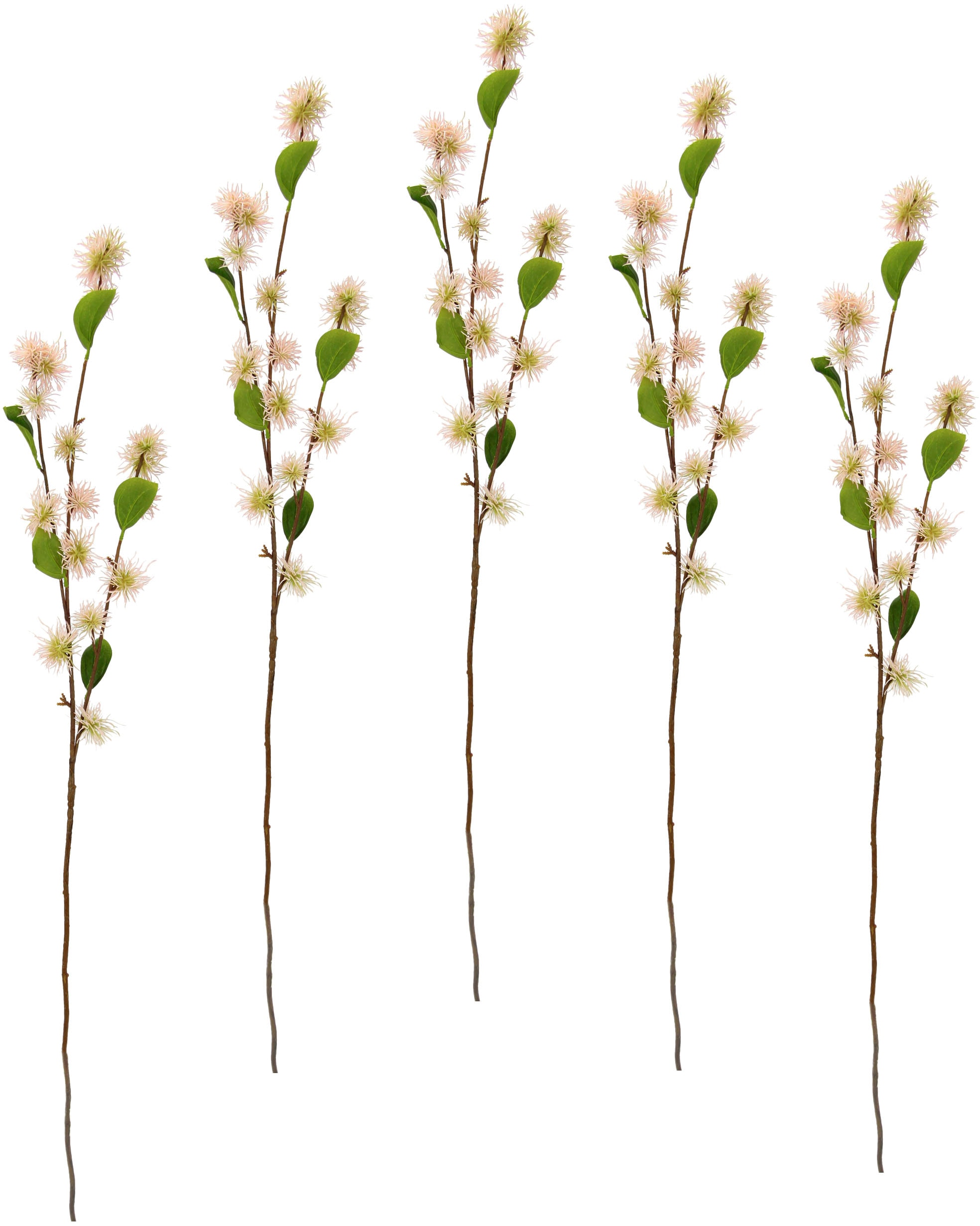 I.GE.A. Fleur artificielle »Zaubernuss« 5er Set