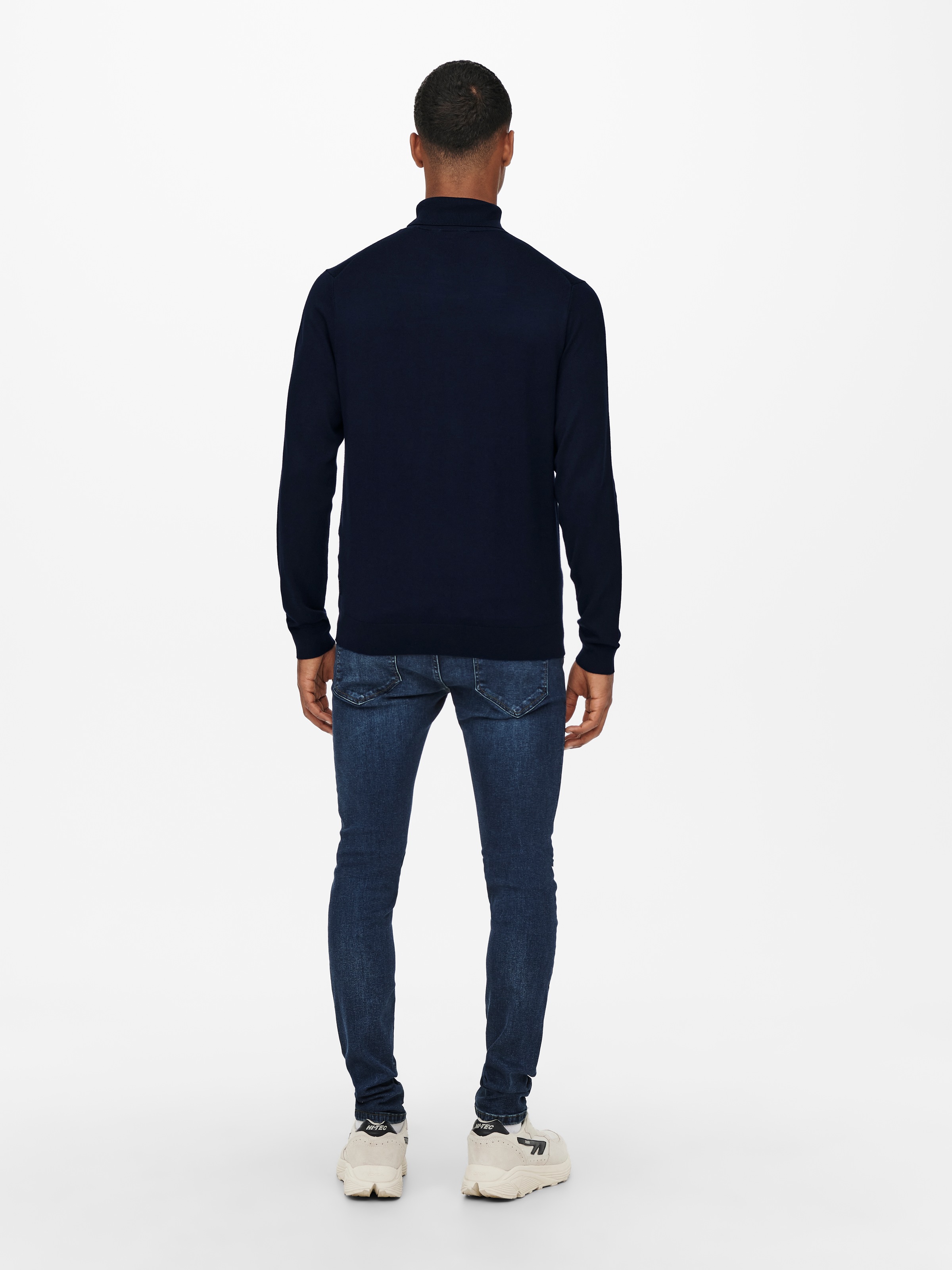 ONLY & SONS Rollkragenpullover »ONSWYLER LIFE REG ROLL NECK KNIT NOOS«