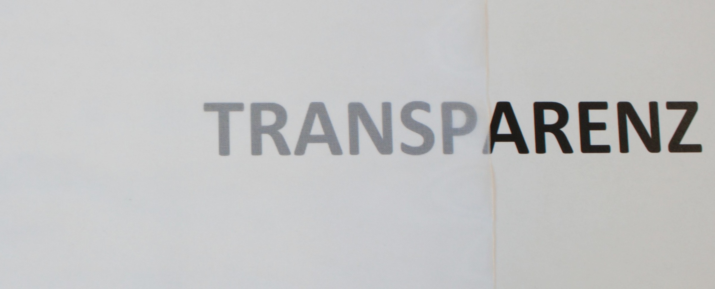 HOME WOHNIDEEN Schiebegardine »CROCKETT« Klettband 1 Stk. tlg. HxB: 245x60