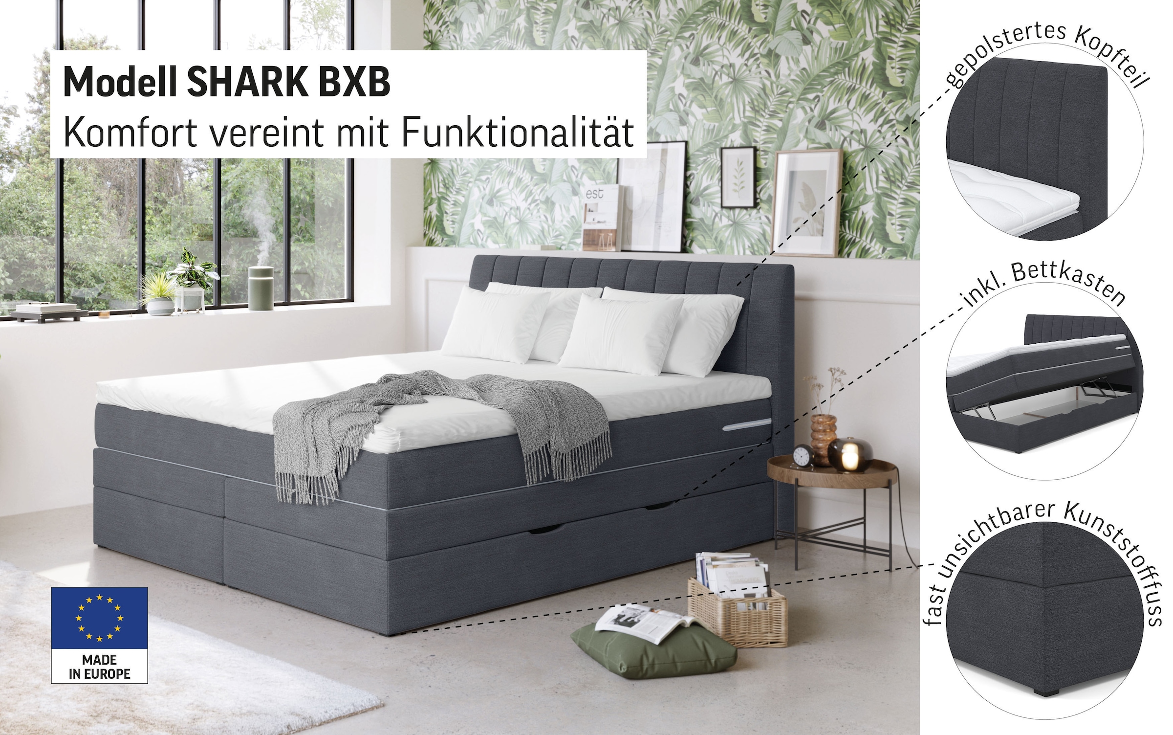 COTTA Lit boxspring »Shark inkl. Bettkasten und Topper« erhältlich in den Breiten 140x200cm, 160x200cm und 180x200cm