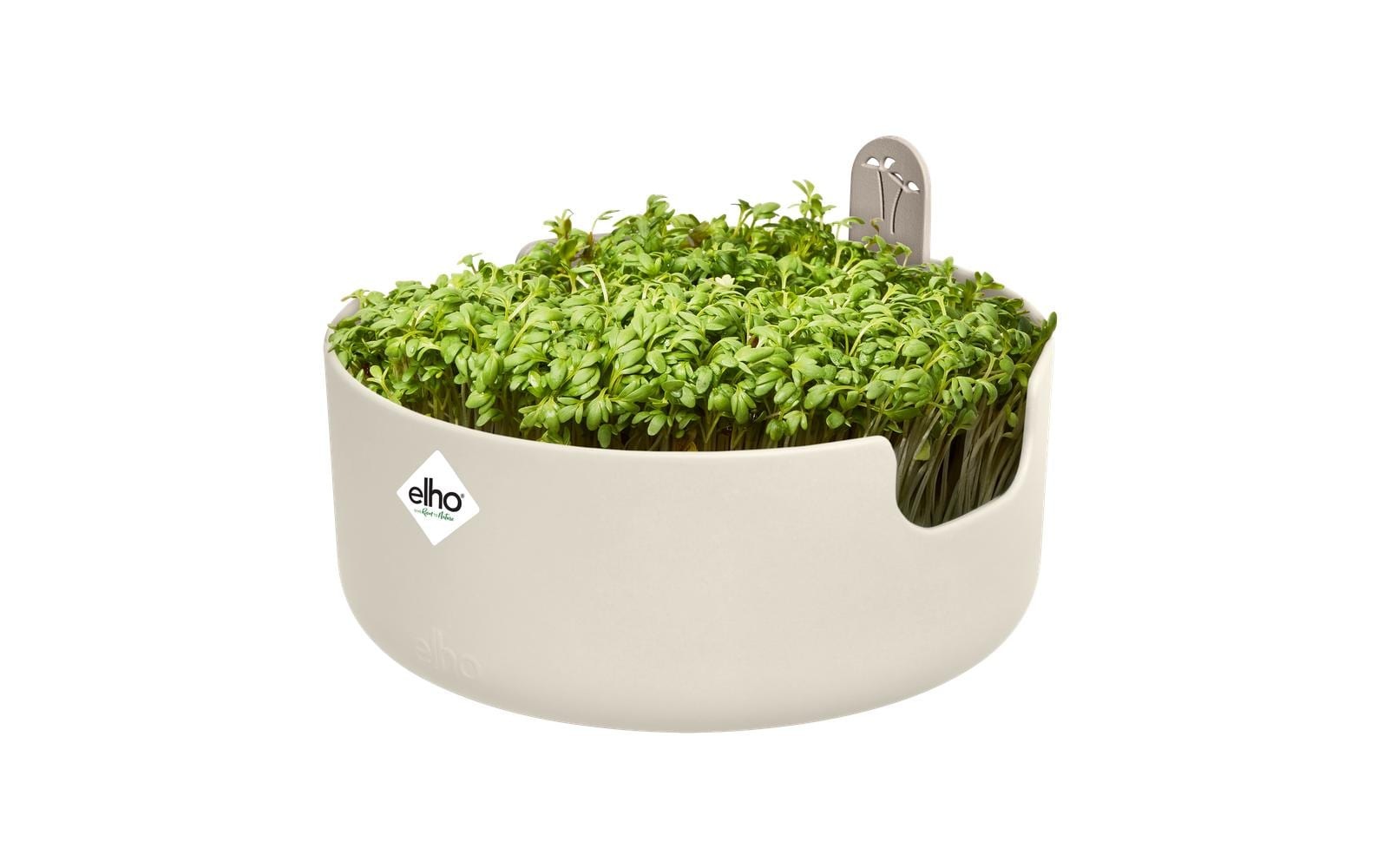 Elho Pot à herbes »Magic Microgreens 17 cm«
