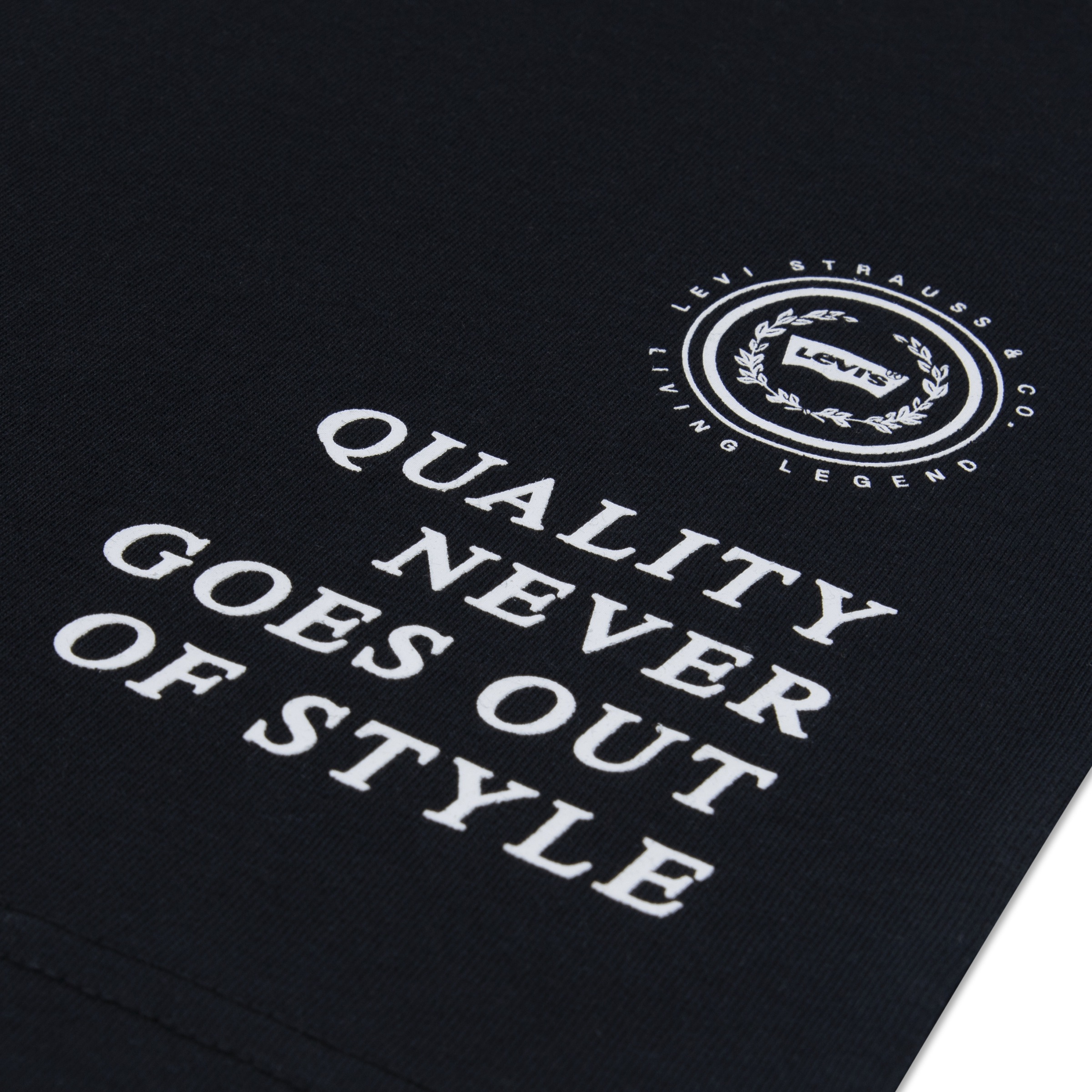 Levi's® Kids T-Shirt »LVB URBAN PREP TEE« for Boys, mit Stickerei und Print