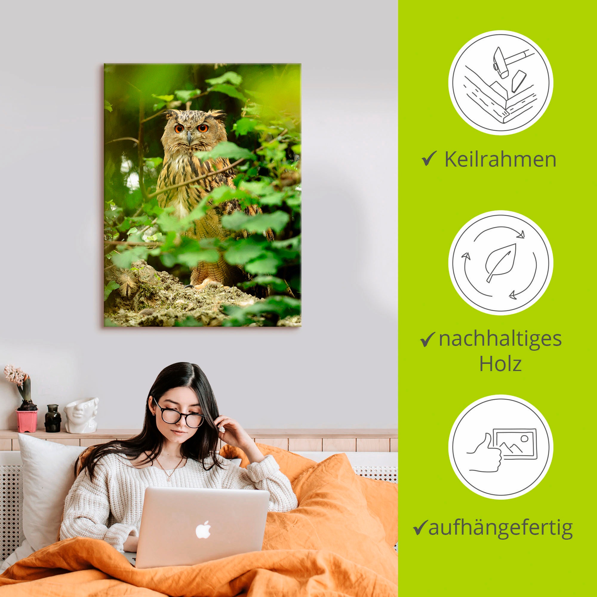 Artland Wandbild »Vogel Uhu« Vögel 1 Stk. tlg. als Leinwandbild, Poster in verschied. Grössen