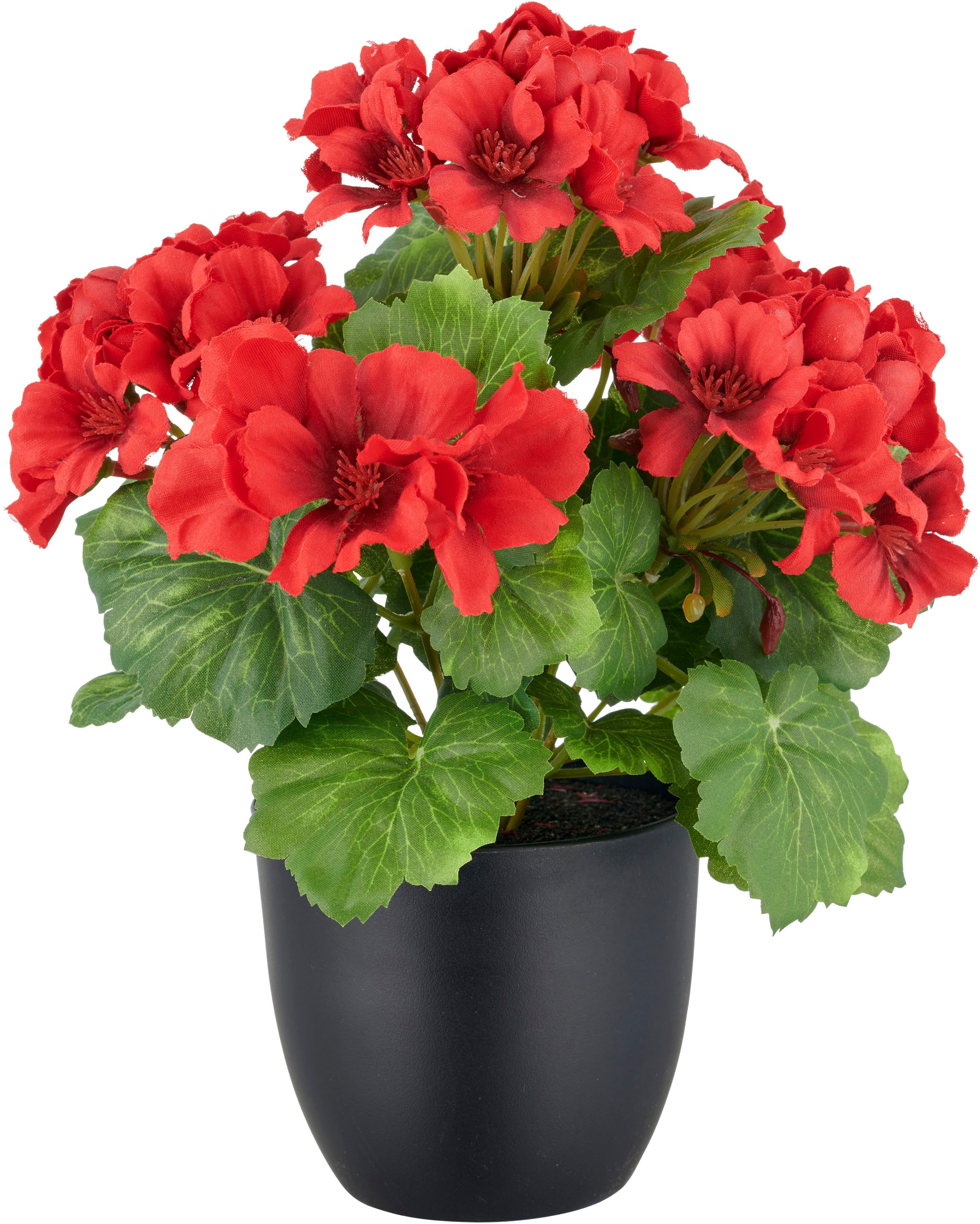 Creativ green Kunstpflanze »Geranie« in UV-beständiger Ausführung