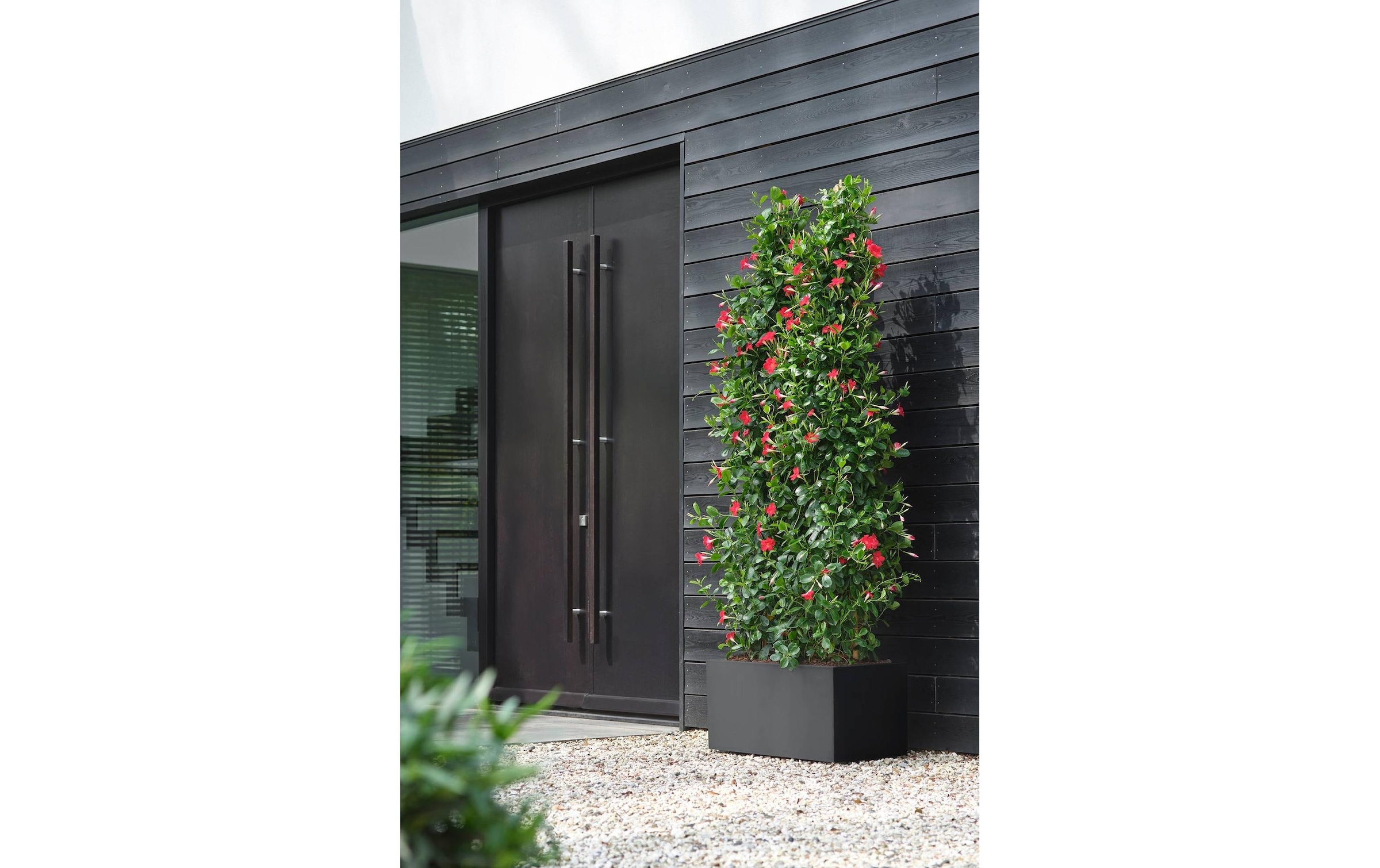 Elho Pot de fleurs »Vivo Next Lang 80 cm«