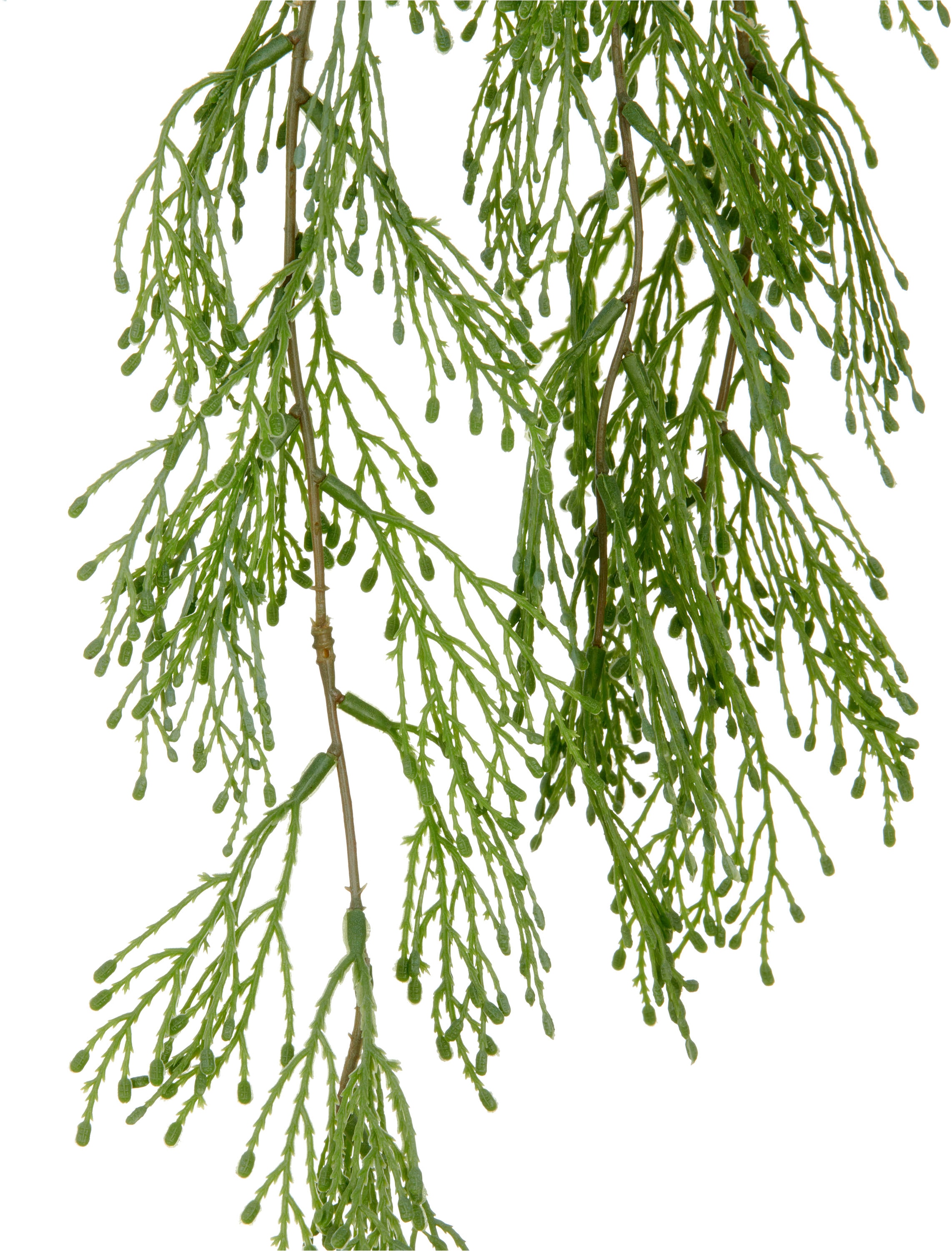 Creativ green Liane artificielle »Juniperus« mit üppigen Ranken