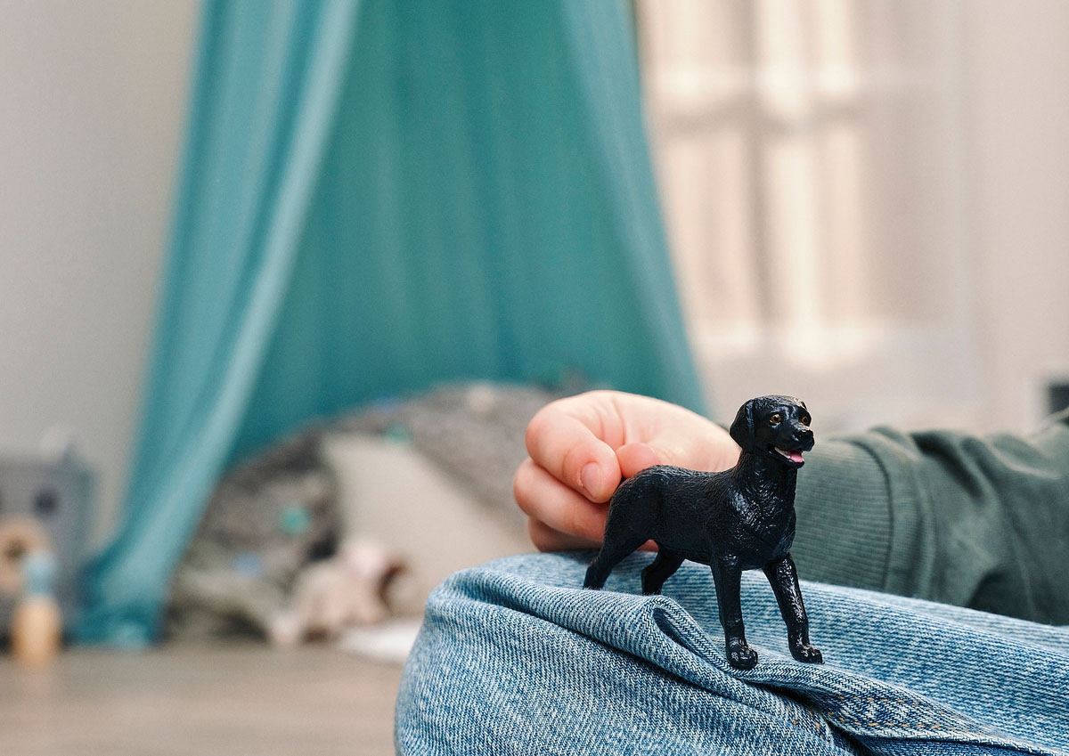 Schleich® Personnage de jeu »FARM WORLD, Schwarze Labrador Retriever Hündin (14923)«