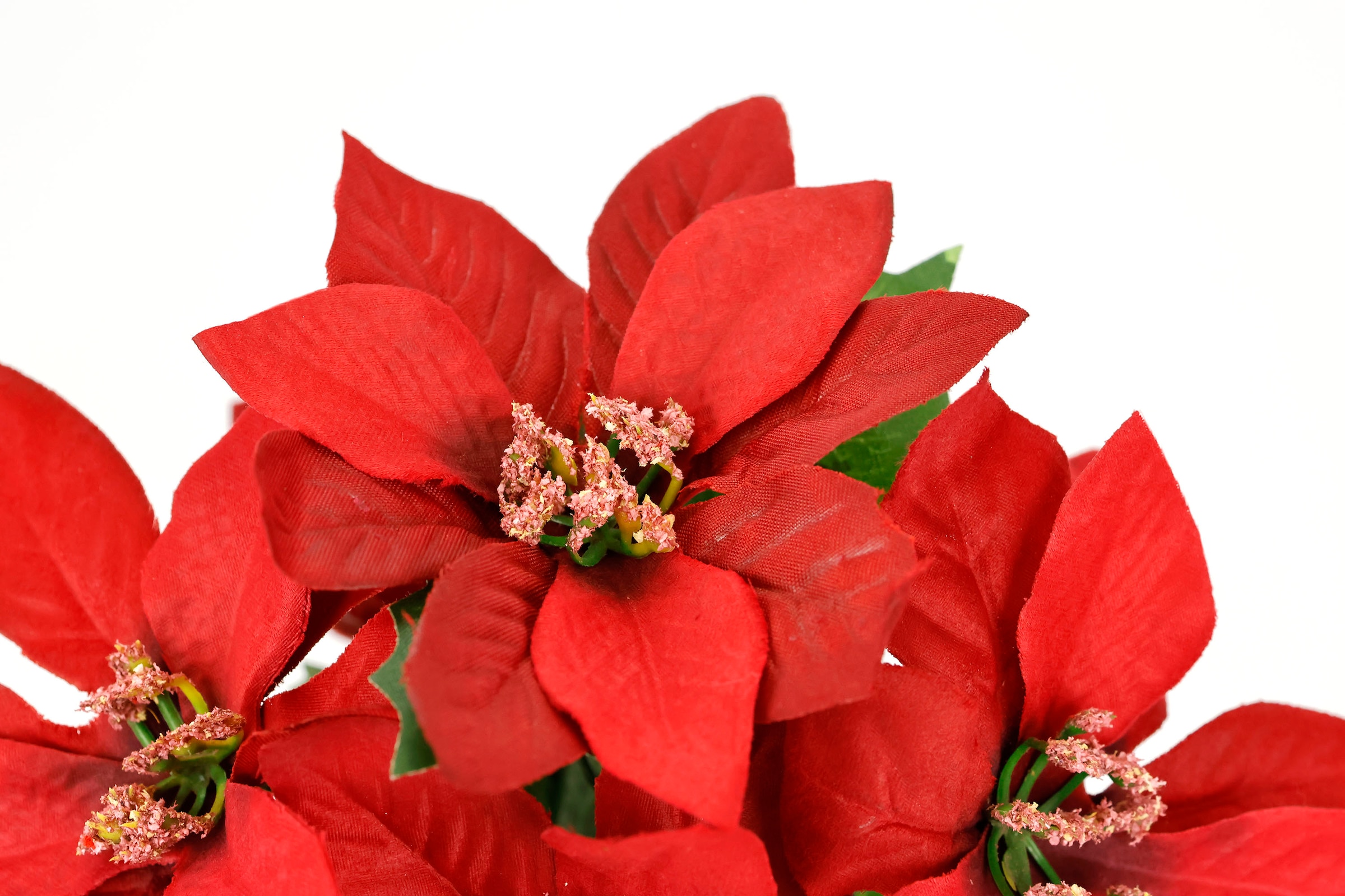 I.GE.A. Fleur artificielle »Poinsettia im Topf« 2er Set Künstliche Blume Weihnachtsstern Christstern Weihnachtsdeko