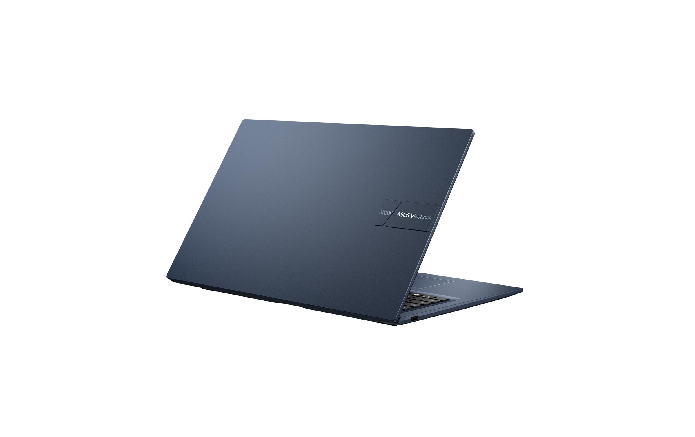 Asus Notebook »17 (X1704VA-AU916W)« / 17,3 ″ Intel Core 7 1.000 GB SSD