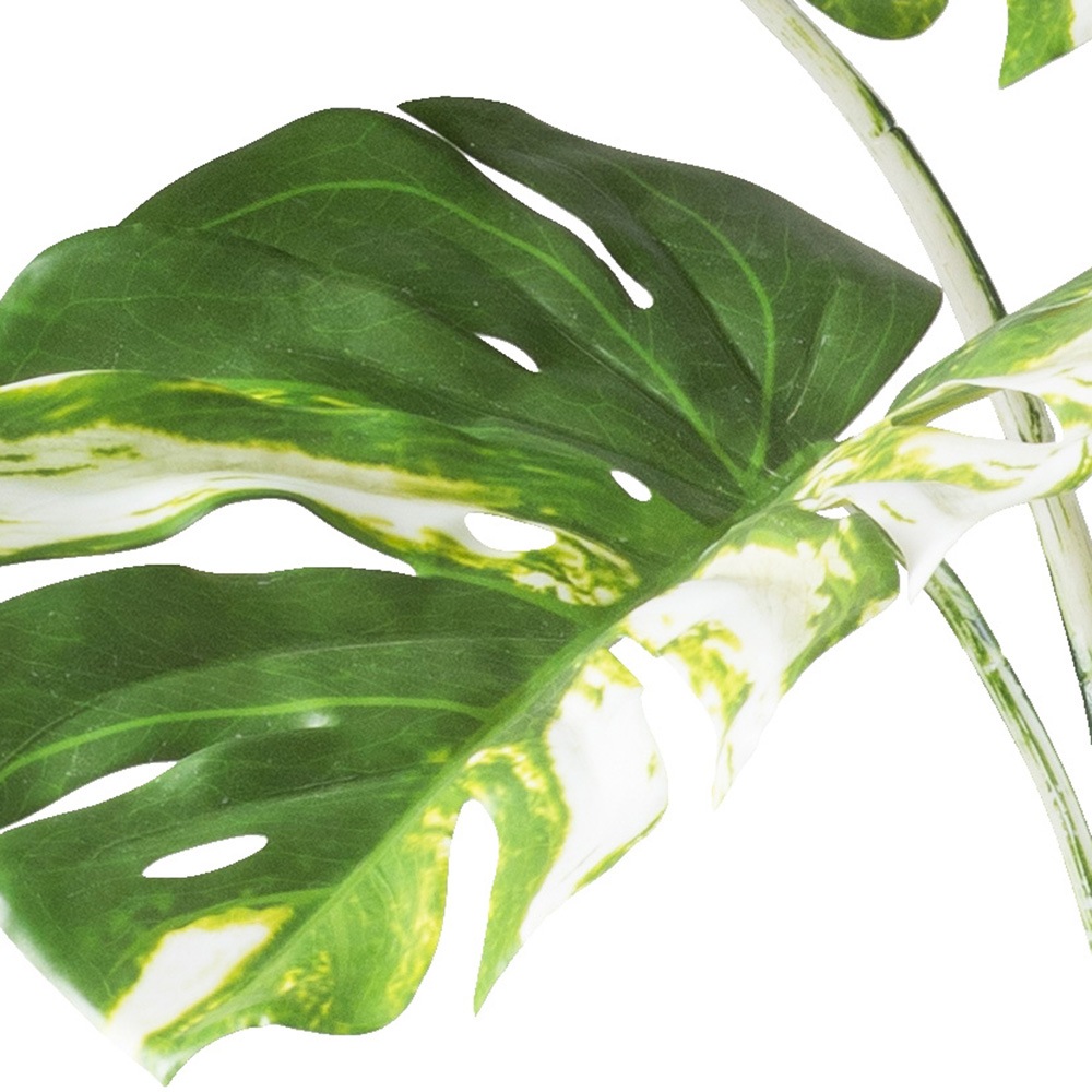 Creativ green Kunstbaum »Monstera deliciosa variegata« mit grün-weissen Blättern