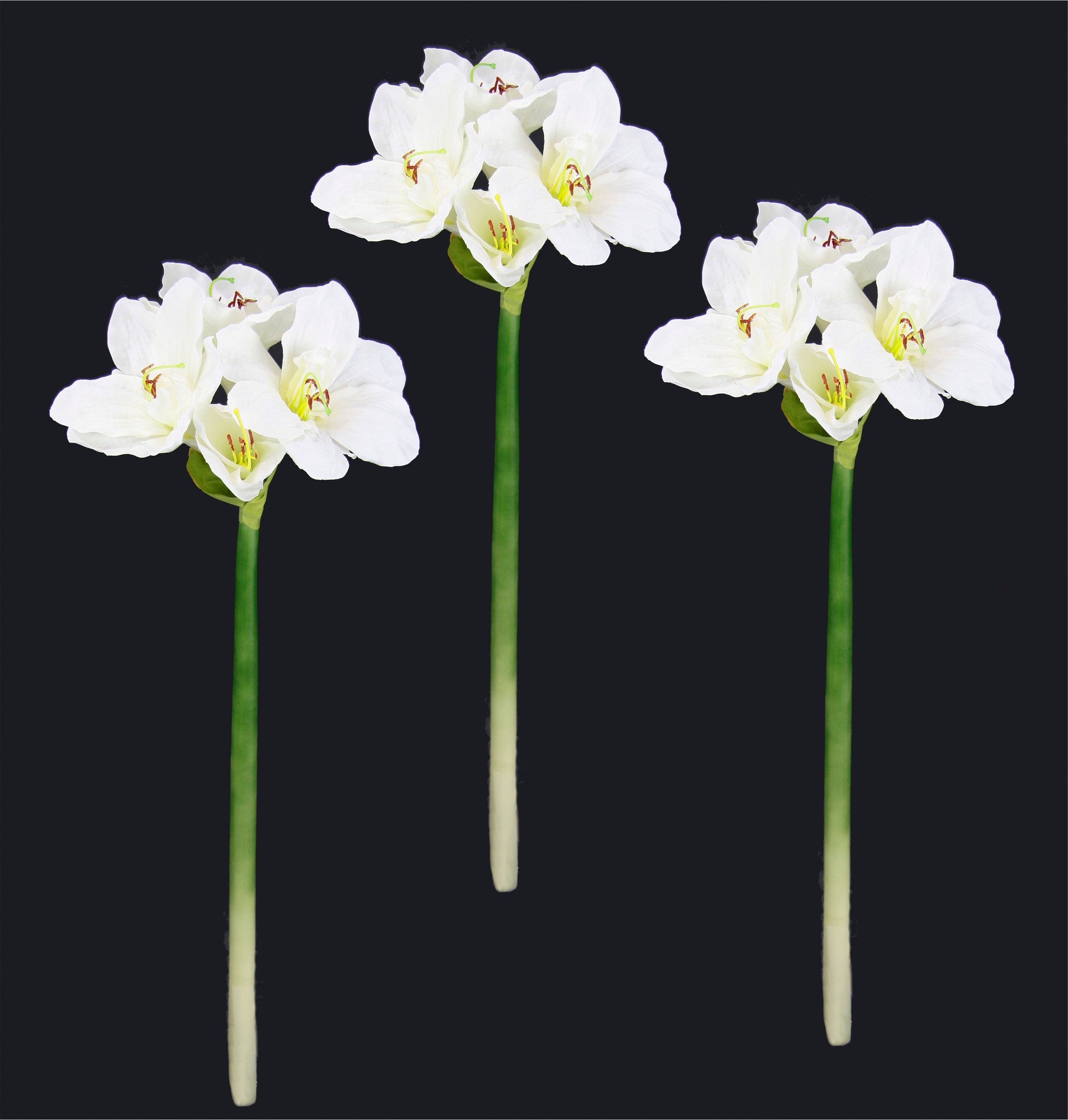 I.GE.A. Fleur artificielle »Amaryllis« Kunst-Stielblume, 3er Set