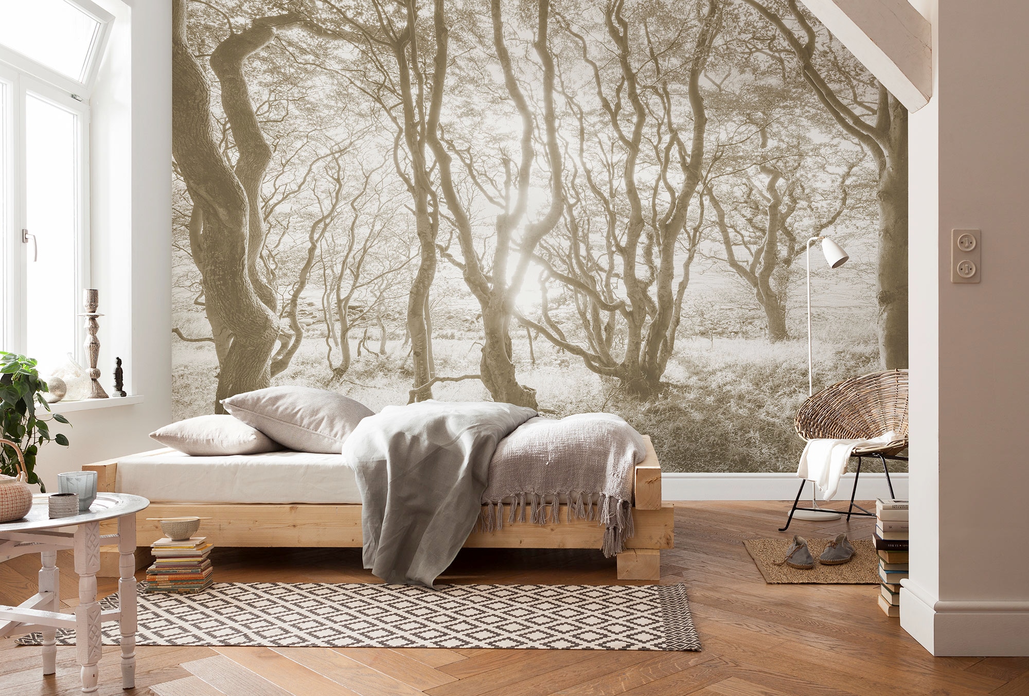Komar Papier peint photo »Digitaldruck Vlies -  Bleached Birch - Grösse 400 x 250 cm« floral | floral | imprimé | tropical | à motifs lisse Wohnzimmer, Schlafzimmer