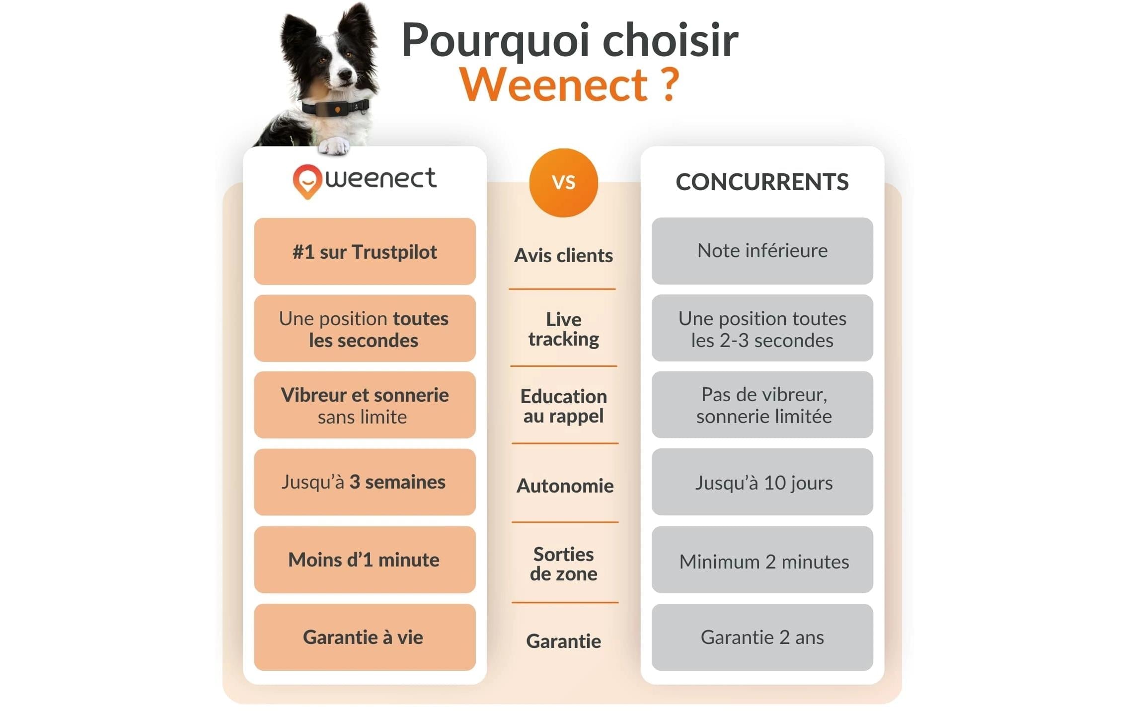   GPS-Hundetracker »Weenect für Hunde XT mit Halsband«