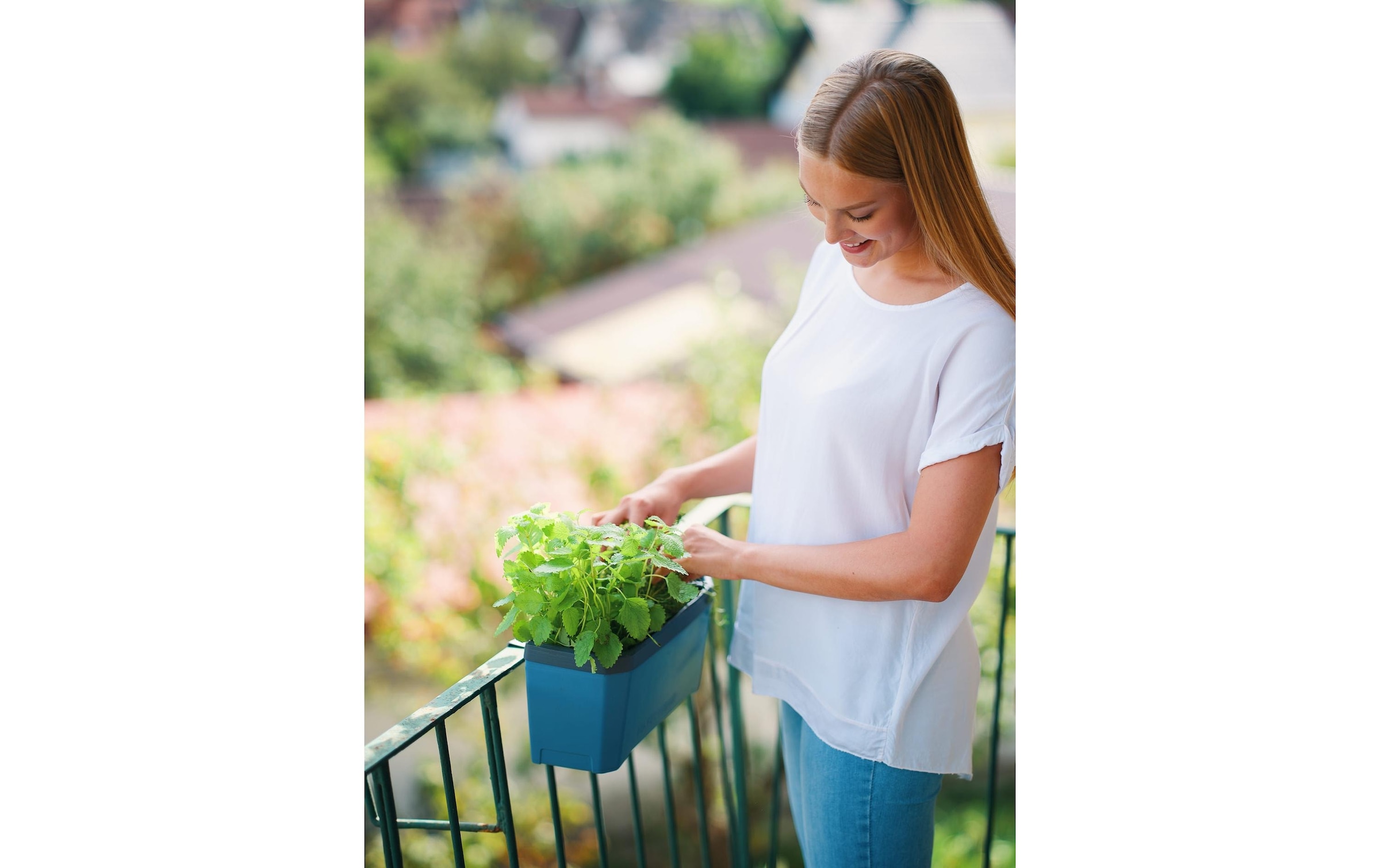 Gusta Garden Kräutertopf »HERBS blau«