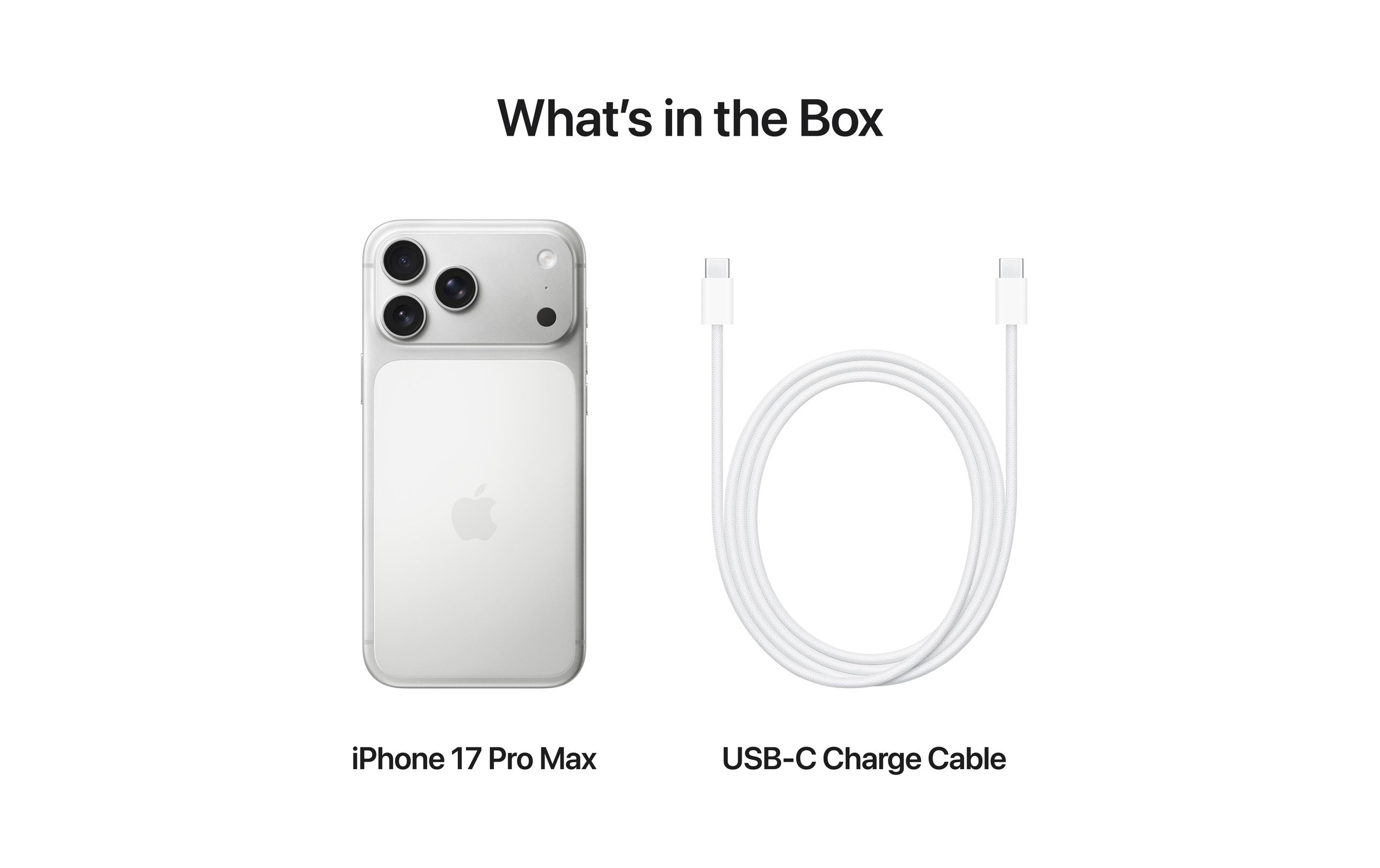 Apple Smartphone »iPhone 17 Pro Max« Silberfarben Induktionsladung