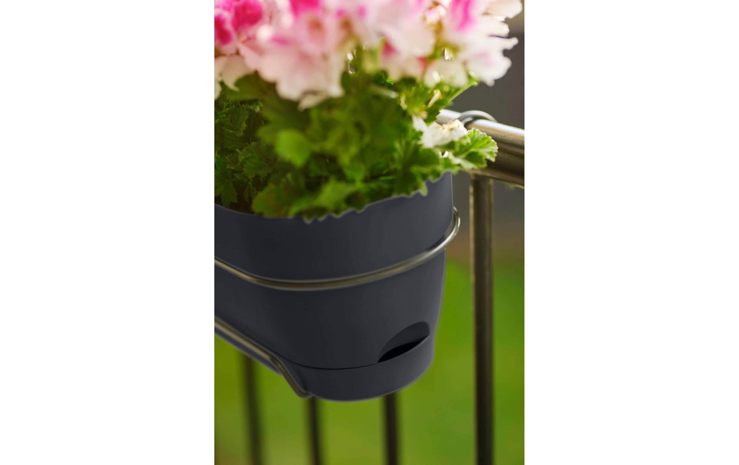 Elho Blumentopf »Vibia Campana Balkonkasten Allin1 70 cm«