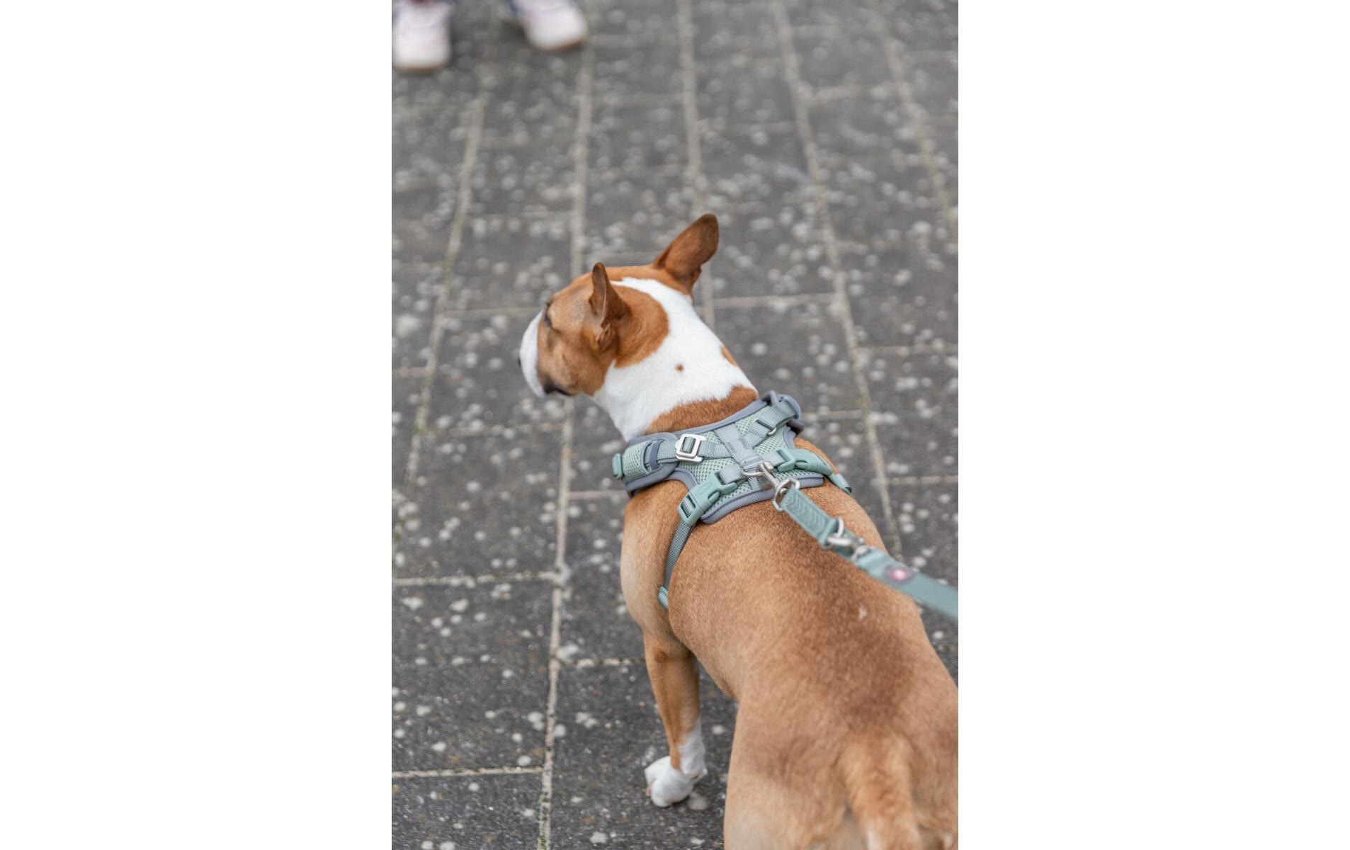 TRIXIE Hunde-Geschirr »Premium FlexMesh Geschir L« Mesh Geschirr mit spezellem Schnitt für kurze, kompakte Hunde